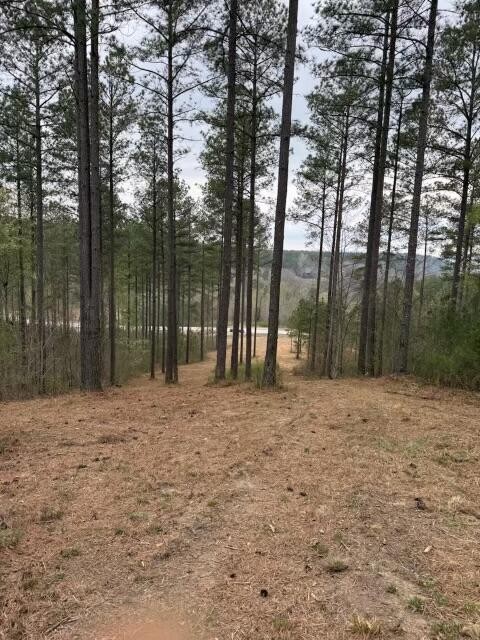 0 Birds Eye Way Property Photo 3