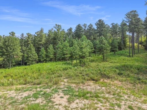 0 Birds Eye Way Property Photo 7