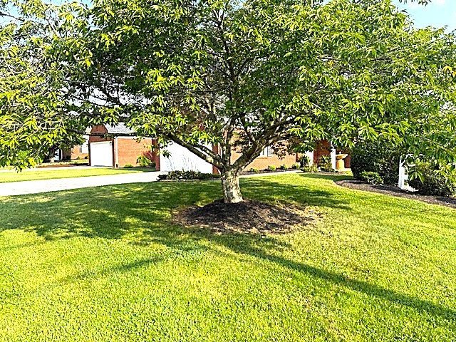 102 Horseshoe Ct Property Photo 4