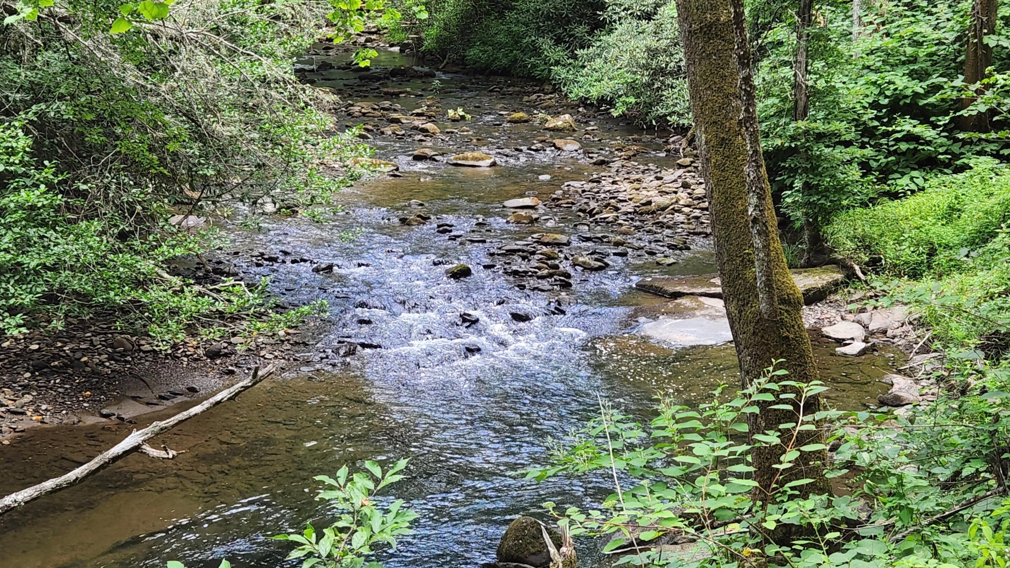 0 Tumbling Creek Road Property Photo 1