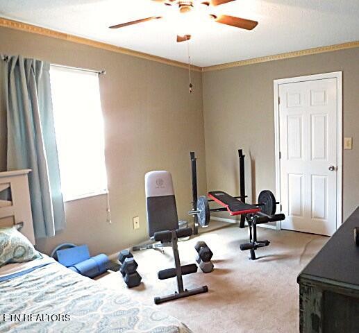206 Heuer St Property Photo 12