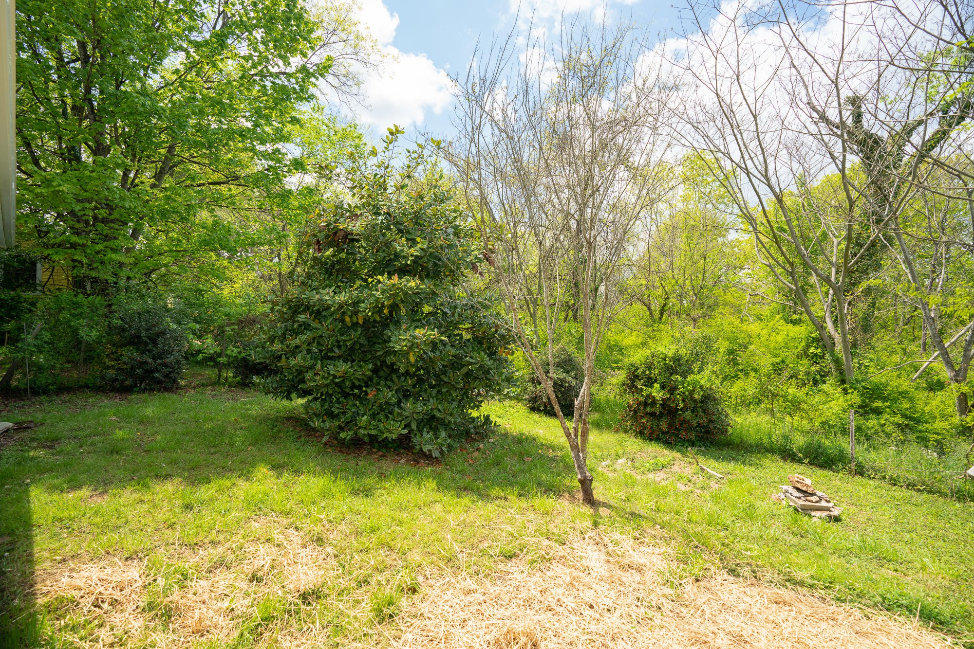 2519 Maple Drive Property Photo 14