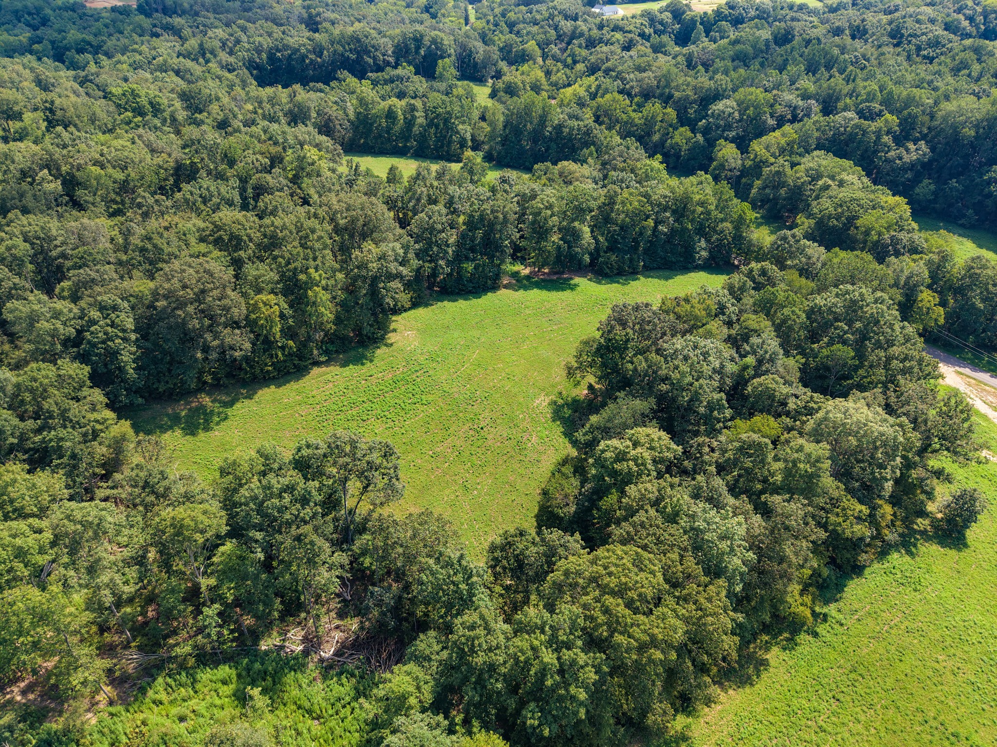 0 Shelter Branch Property Photo 20