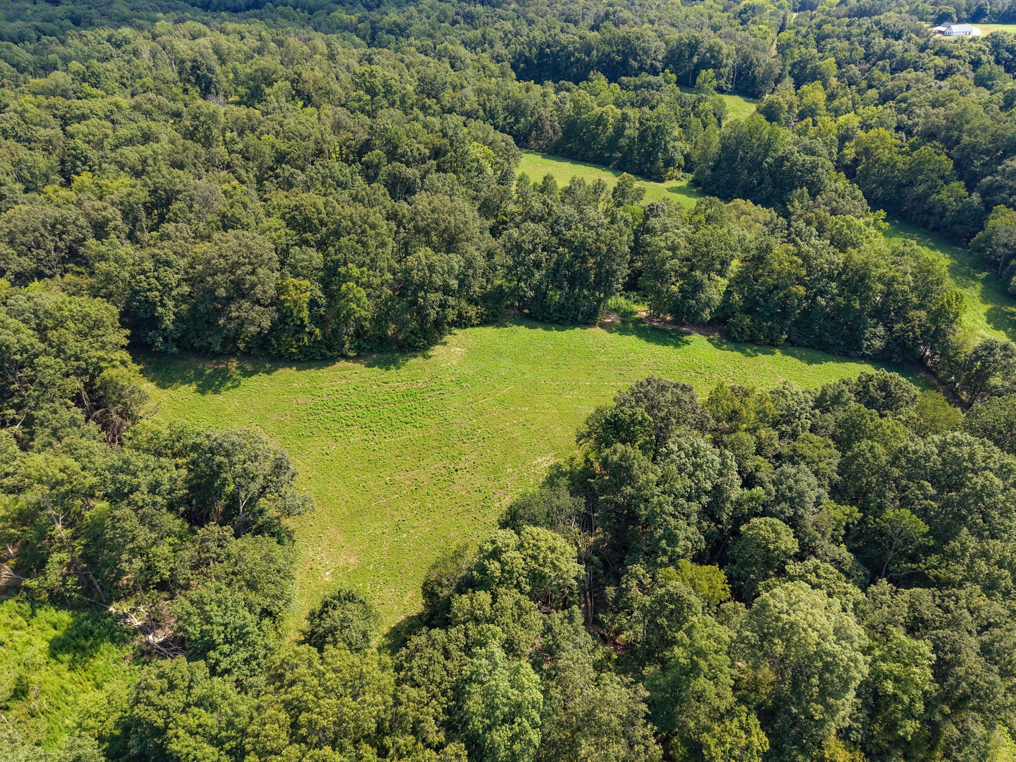 0 Shelter Branch Property Photo 21