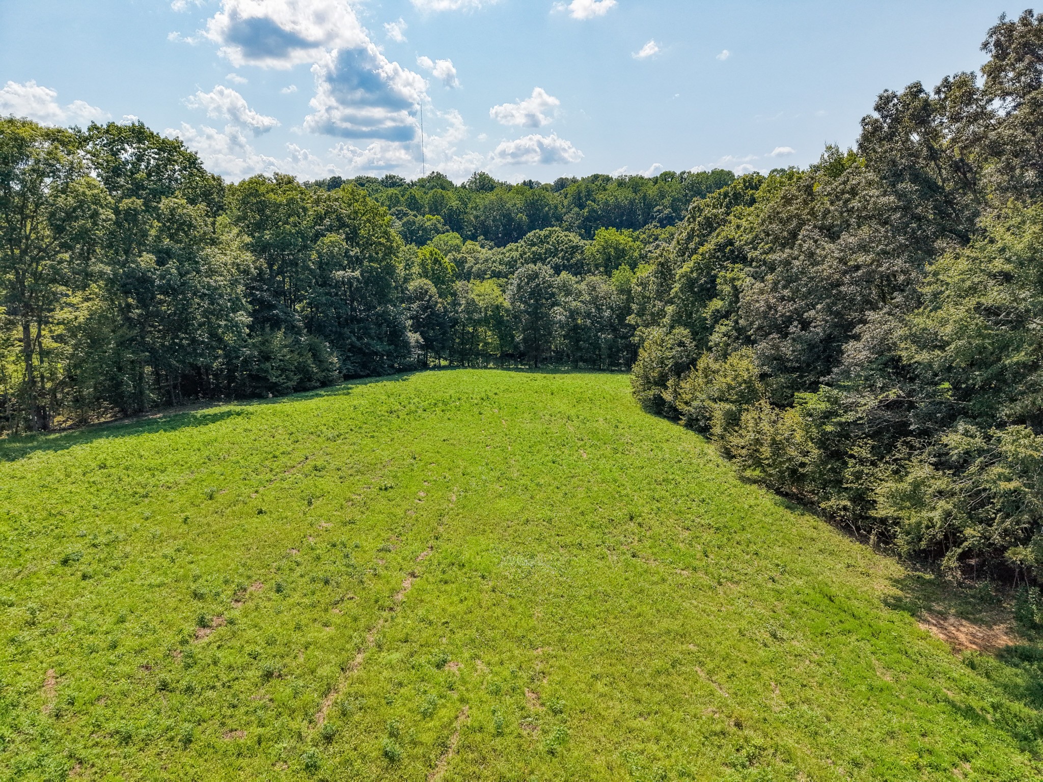 0 Shelter Branch Property Photo 29