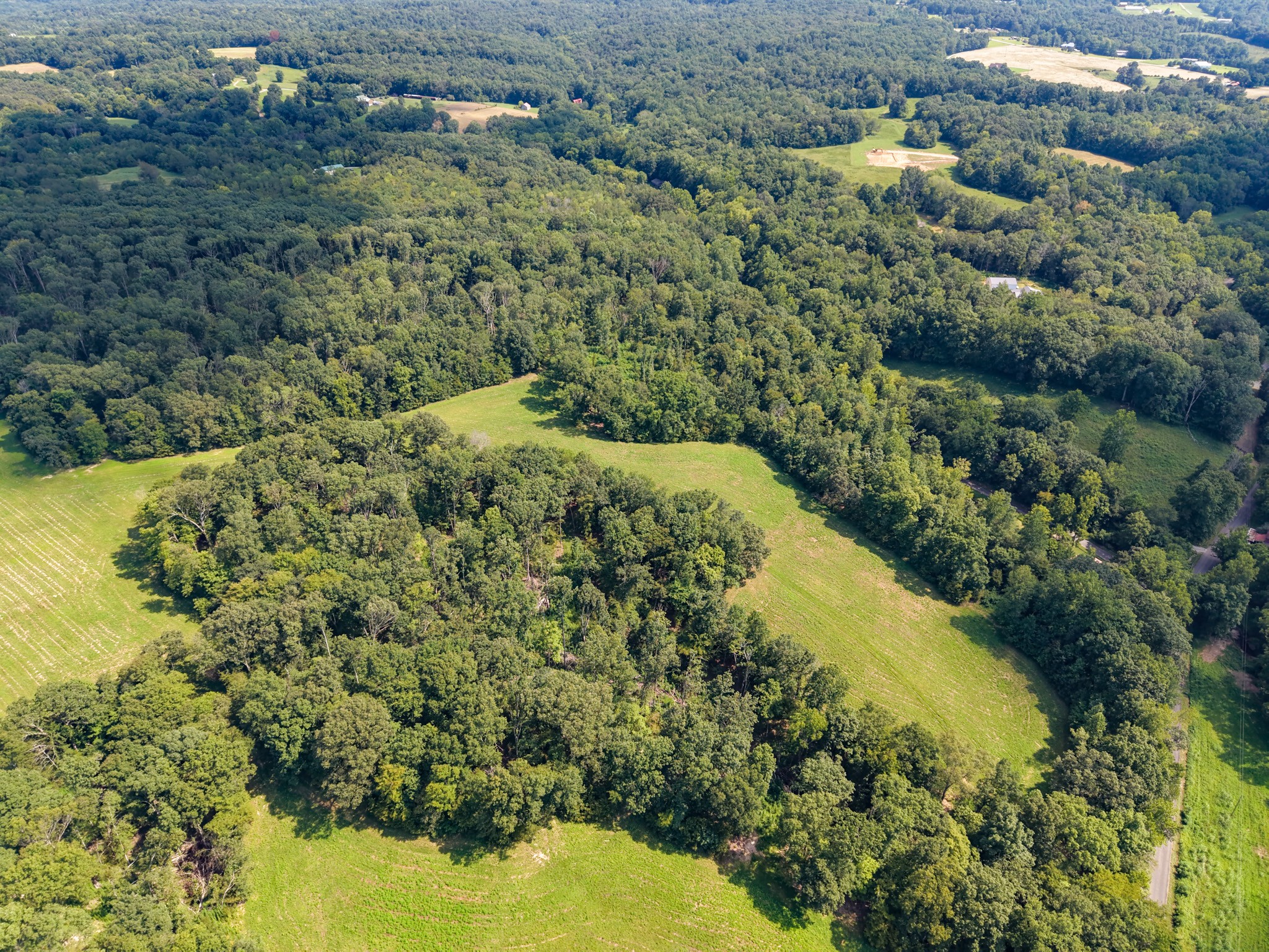 0 Shelter Branch Property Photo 34