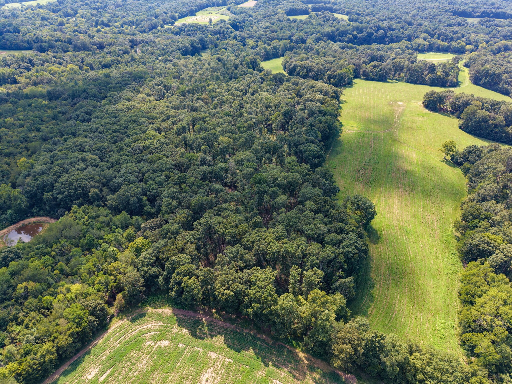 0 Shelter Branch Property Photo 37