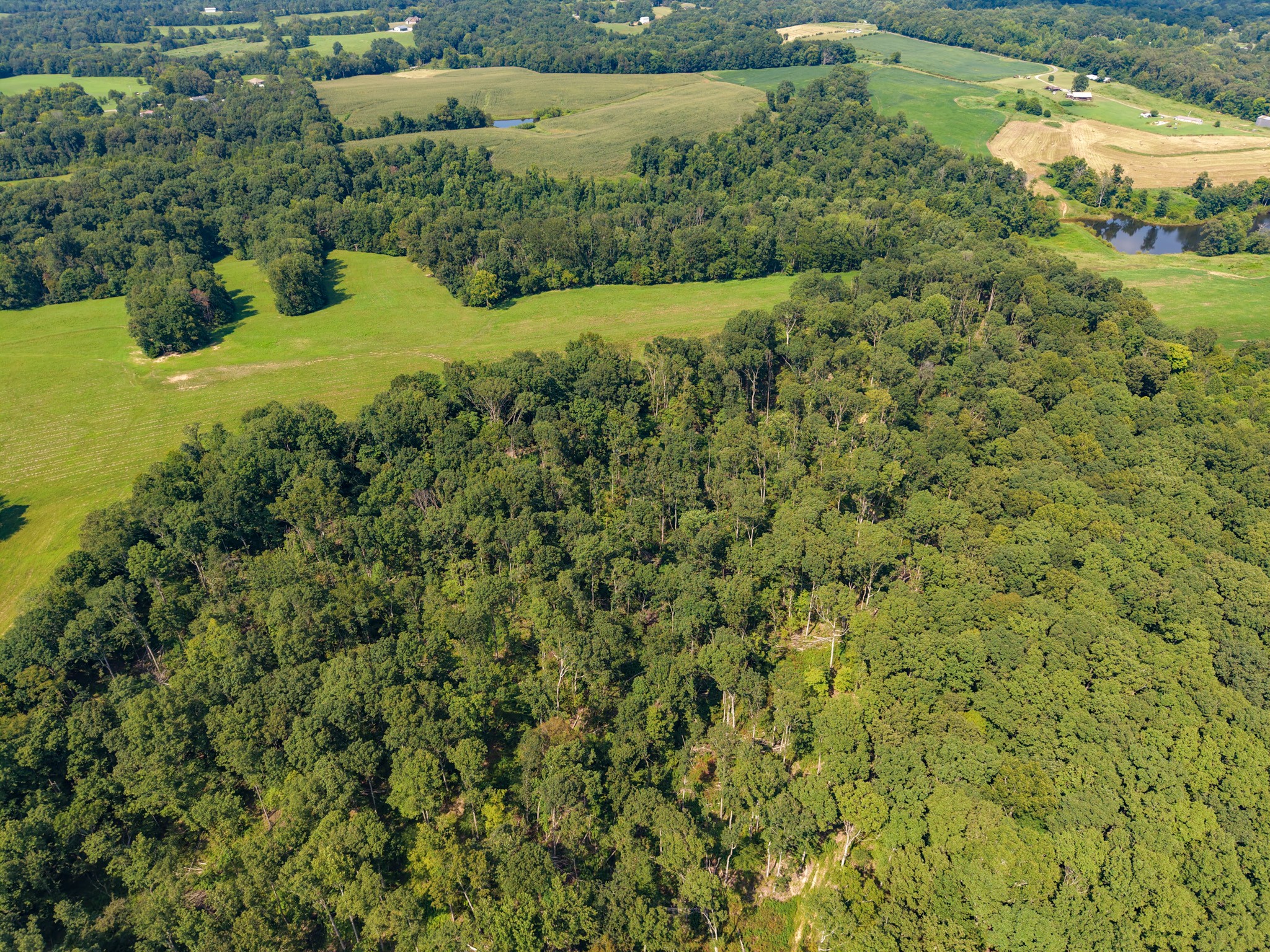 0 Shelter Branch Property Photo 40