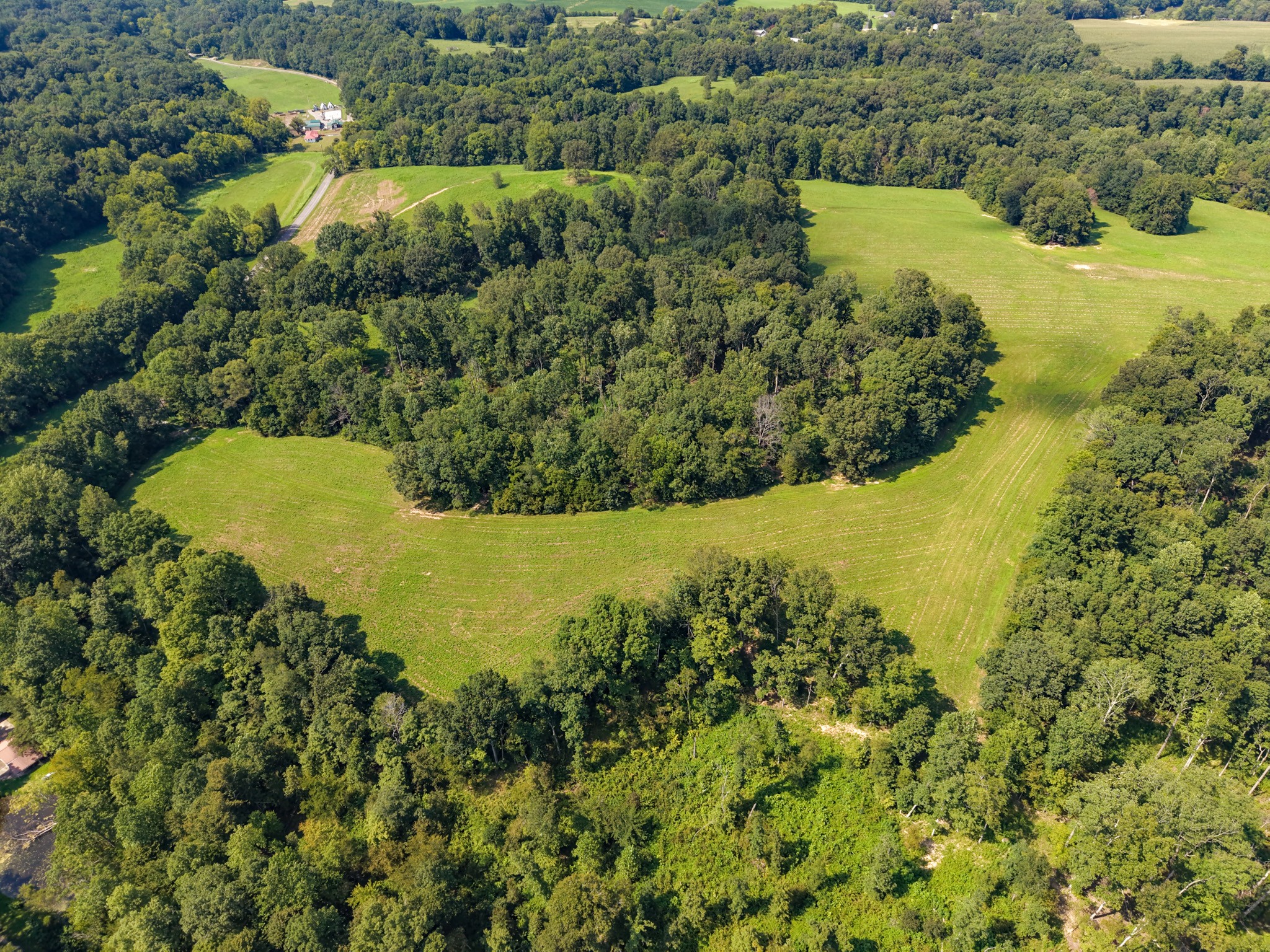 0 Shelter Branch Property Photo 41