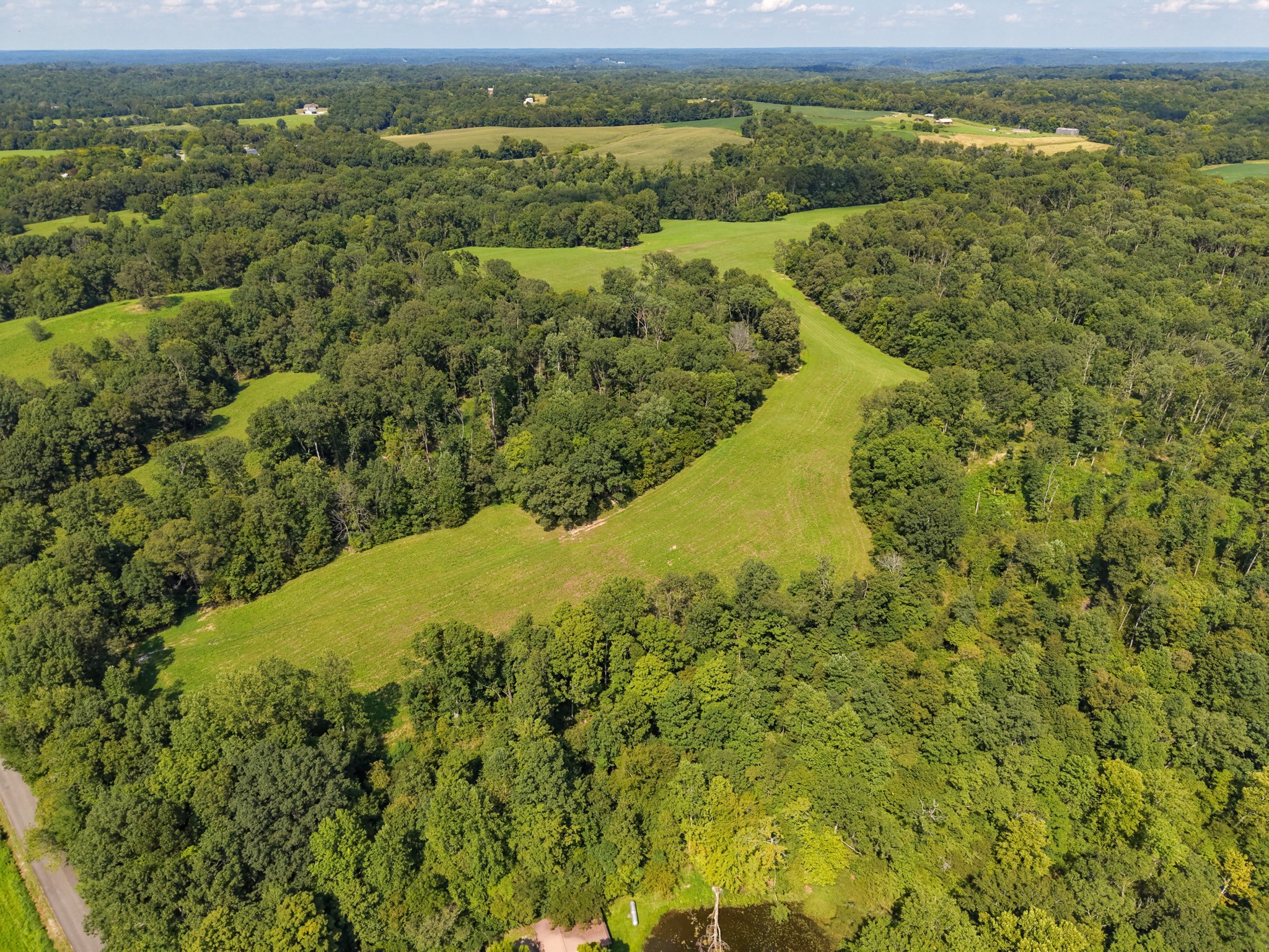 0 Shelter Branch Property Photo 45