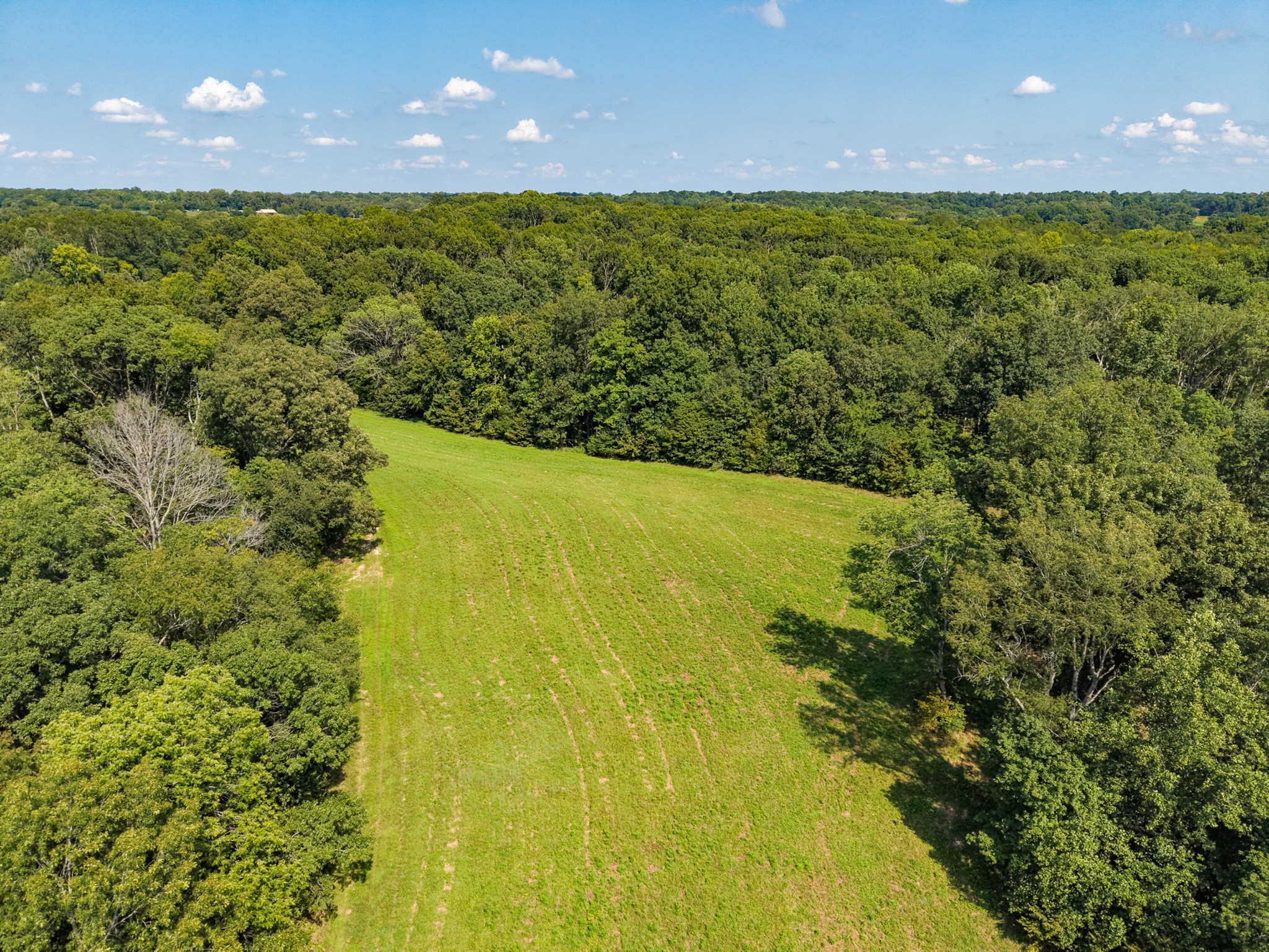 0 Shelter Branch Property Photo 49