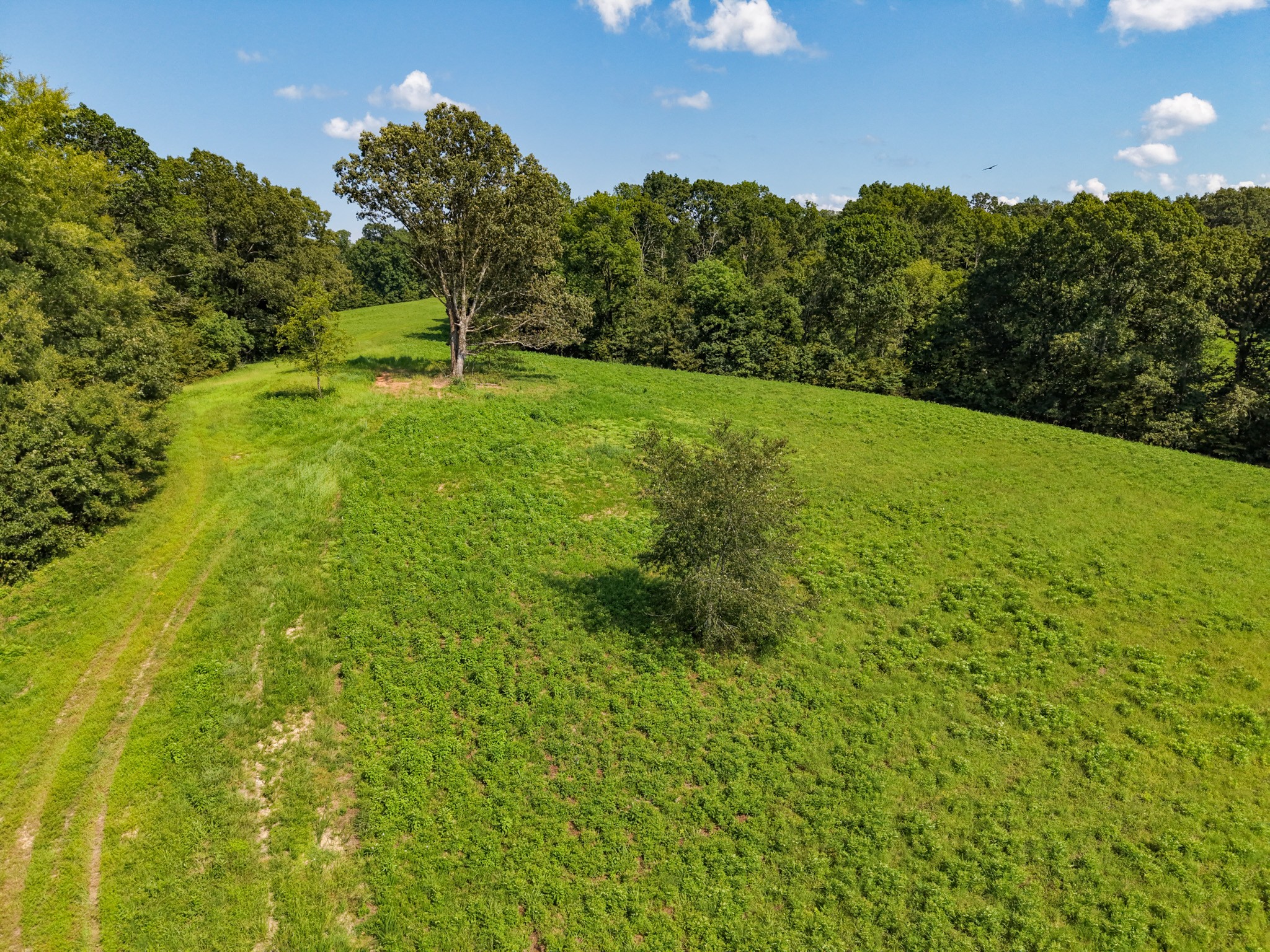 0 Shelter Branch Property Photo 63