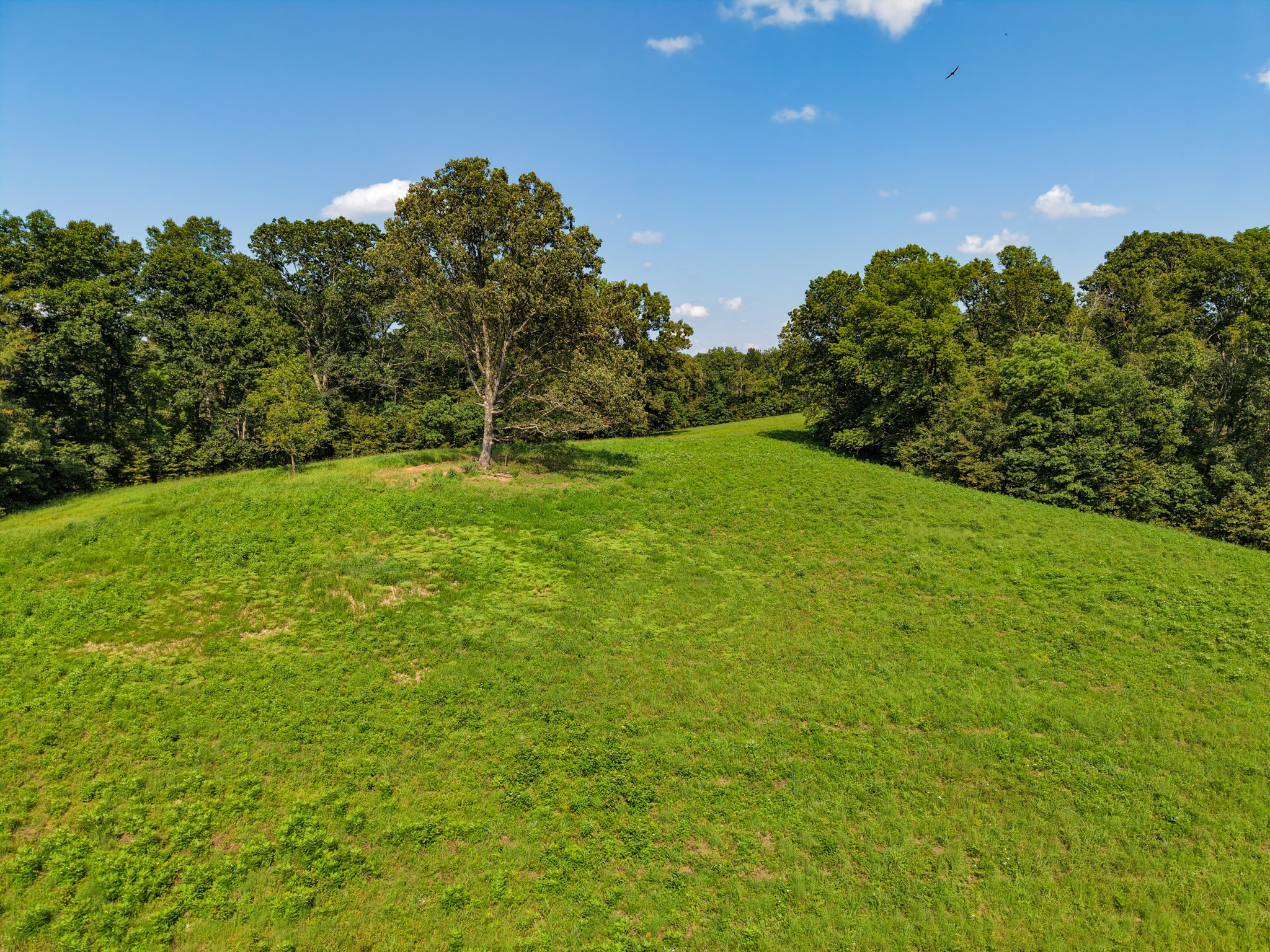 0 Shelter Branch Property Photo 66