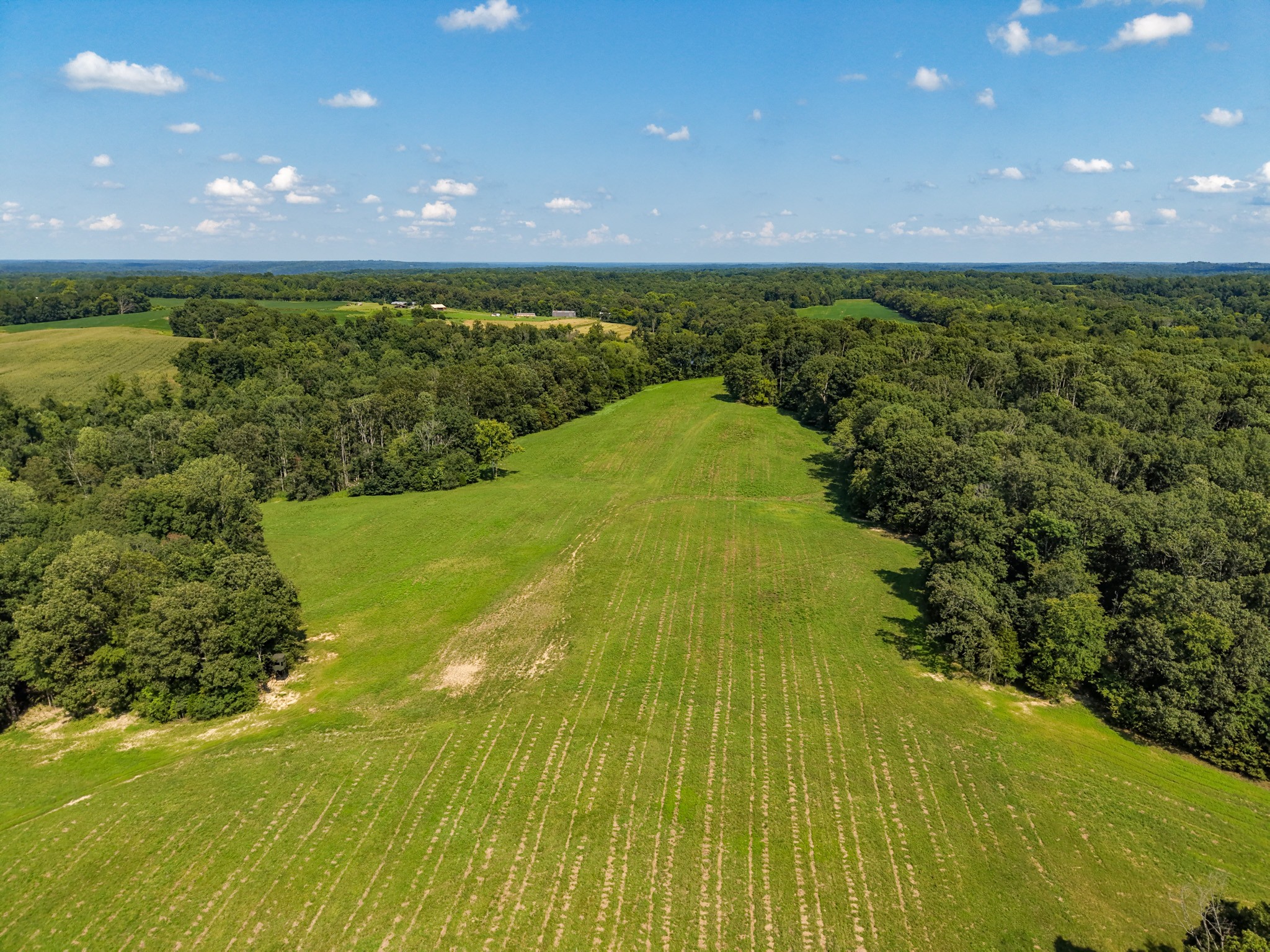 0 Shelter Branch Property Photo 75