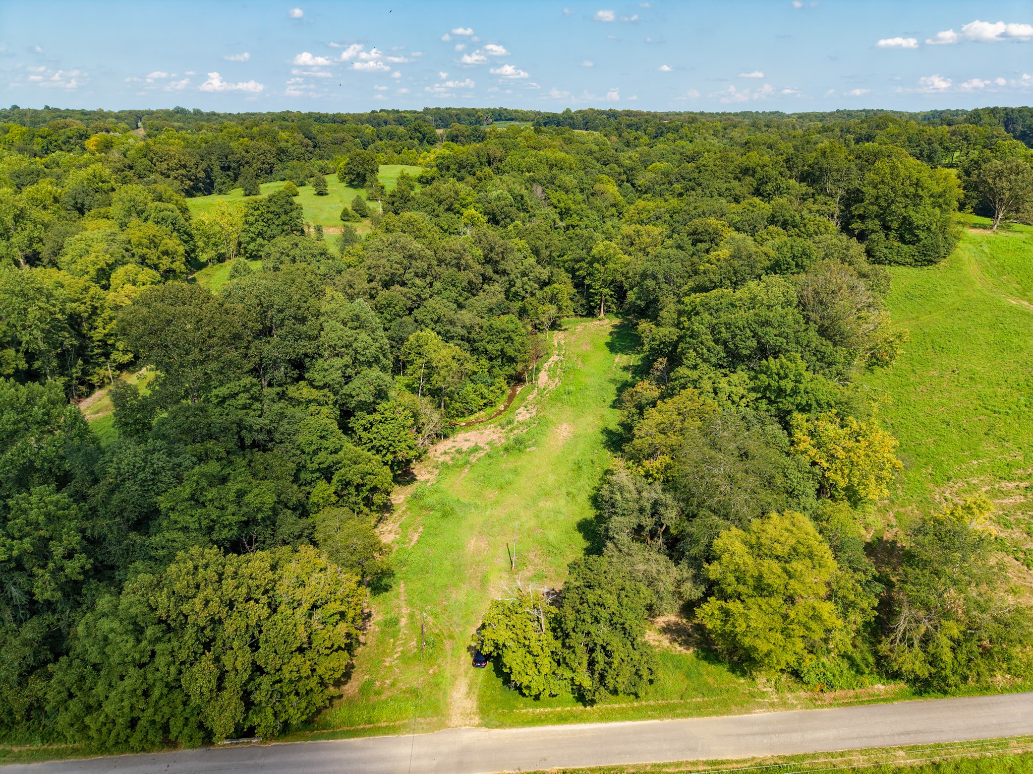 0 Shelter Branch Property Photo 87