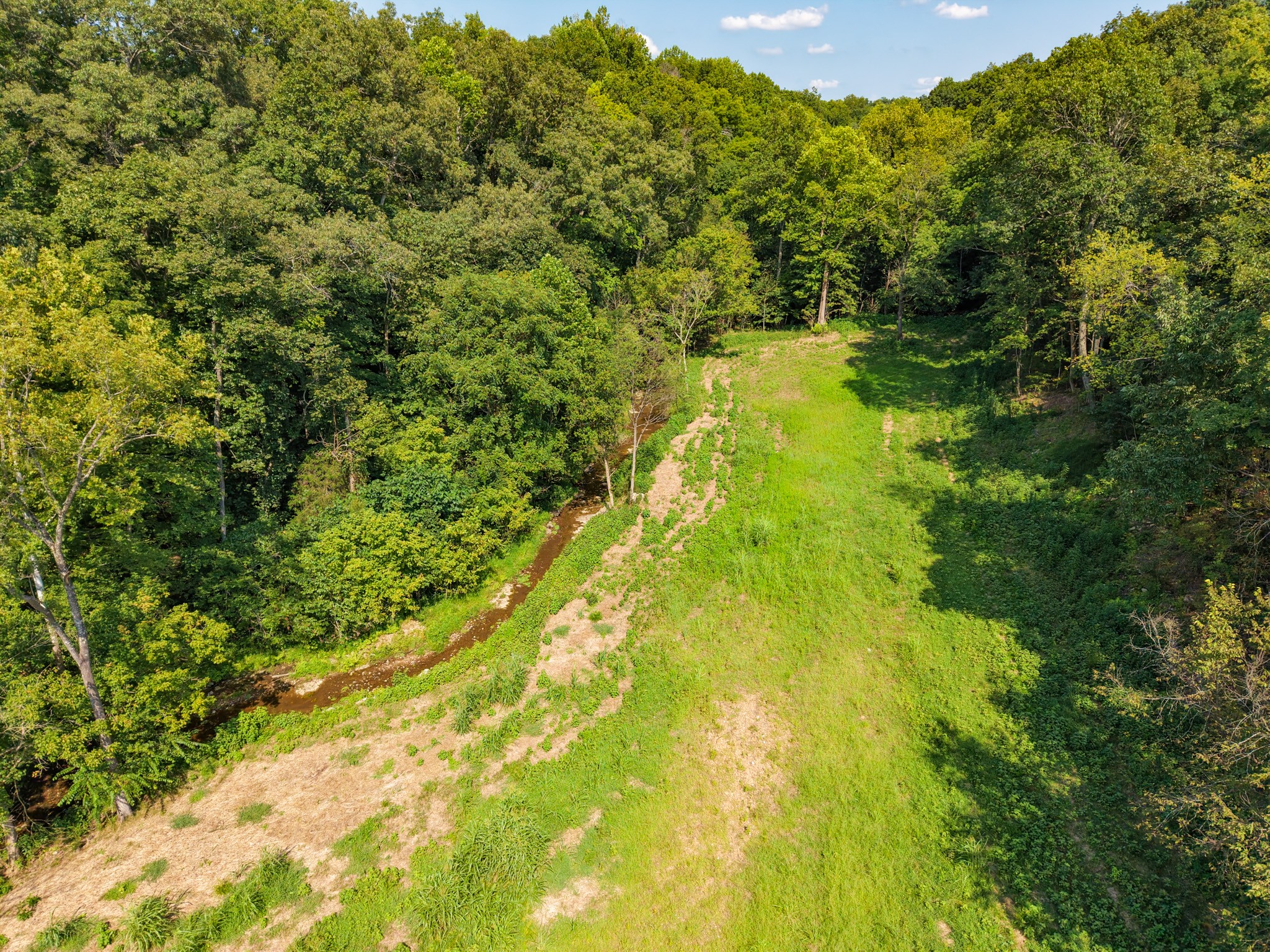 0 Shelter Branch Property Photo 96