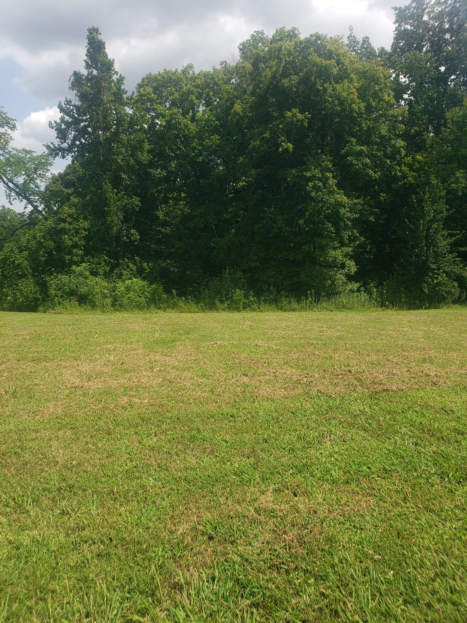 822 Iron Wood Cir