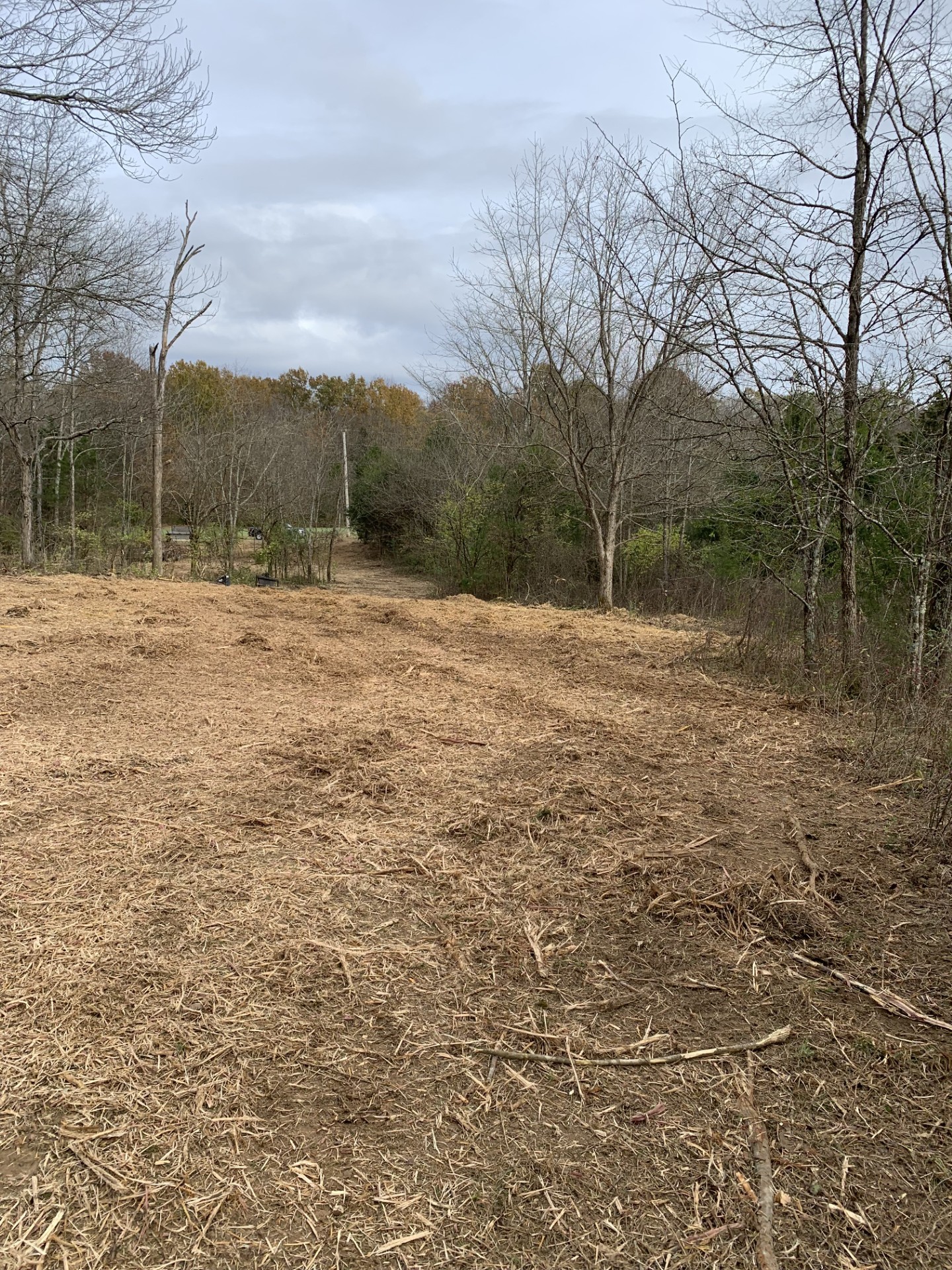 0 Plain View Lane Property Photo 1