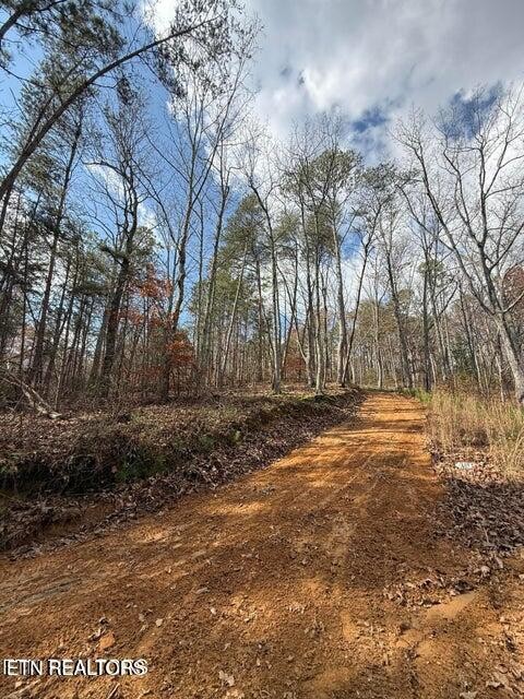 291 Palow Rd Property Photo 1