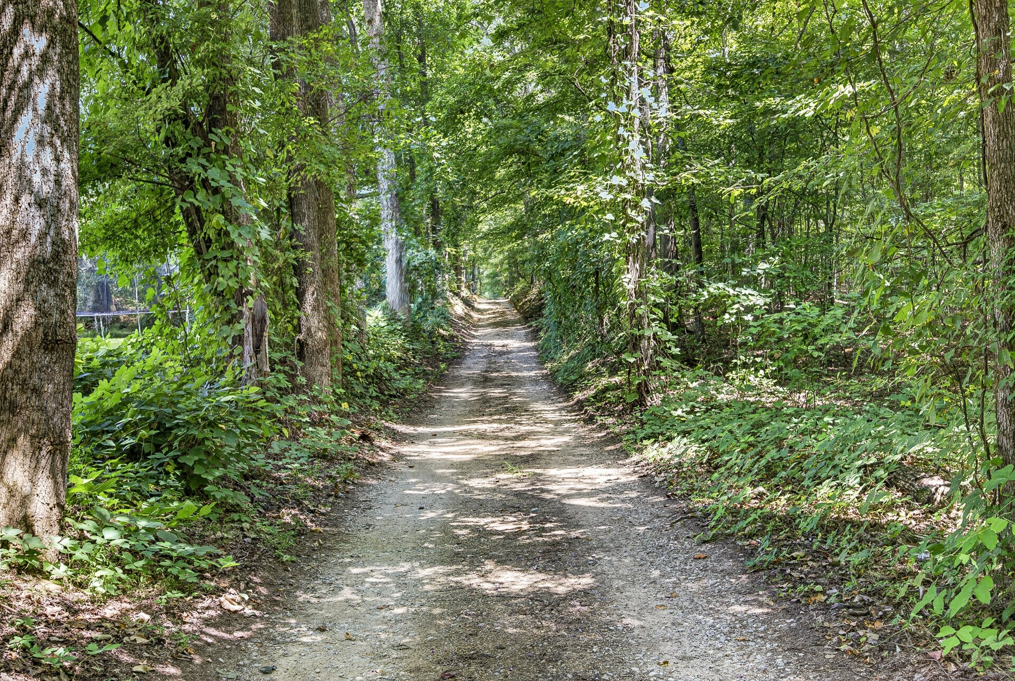 7220 Friendly Rd Property Photo 22