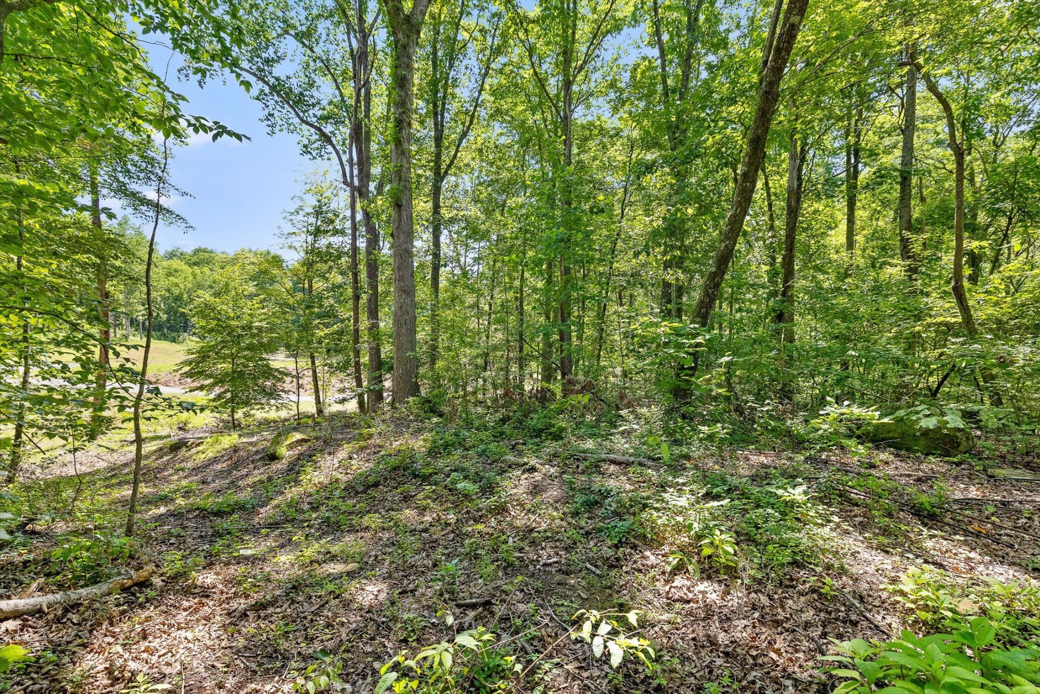 0 Maple Leaf Trail Property Photo 1