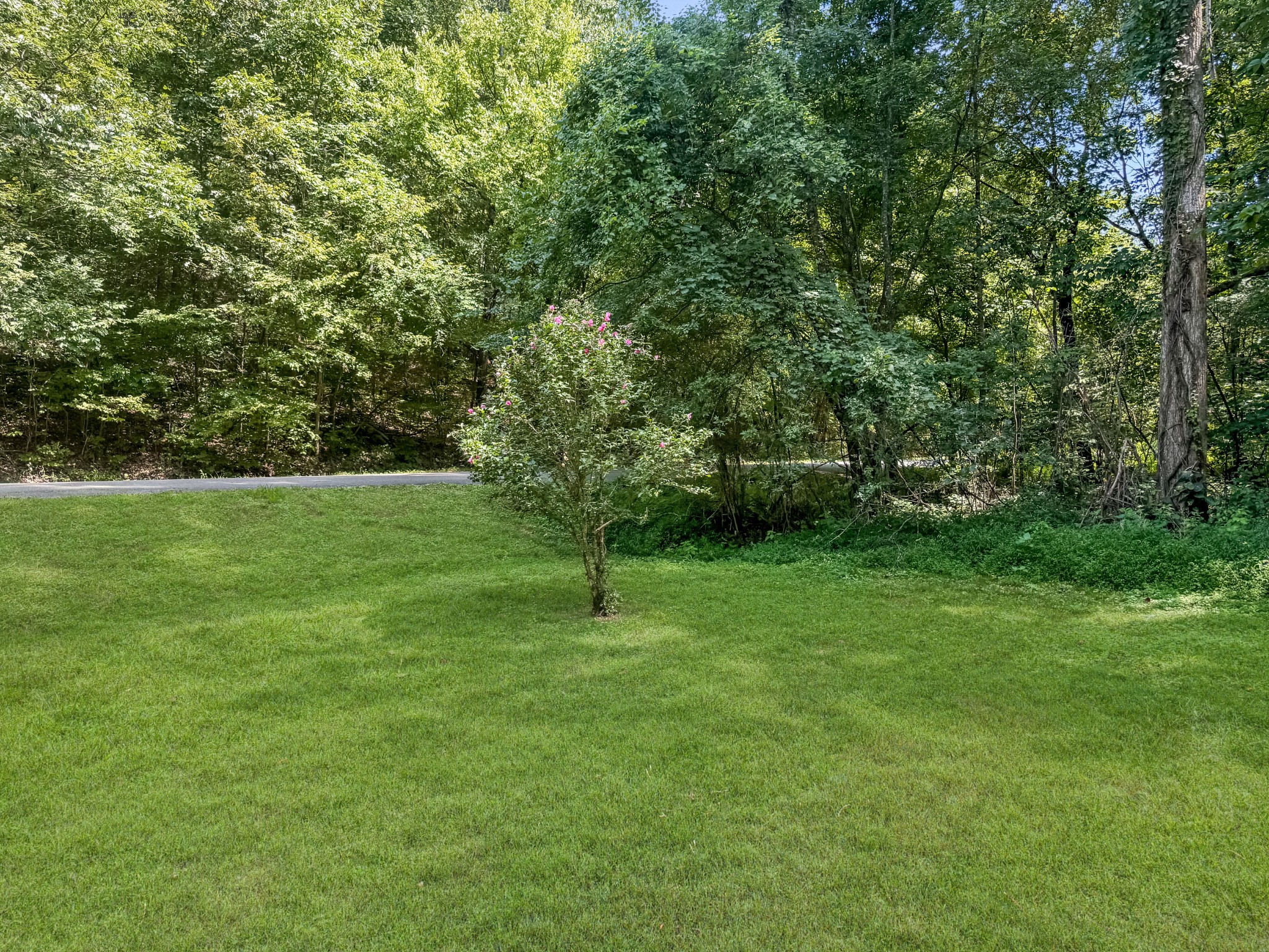 165 Lakeshore Dr Property Photo 2