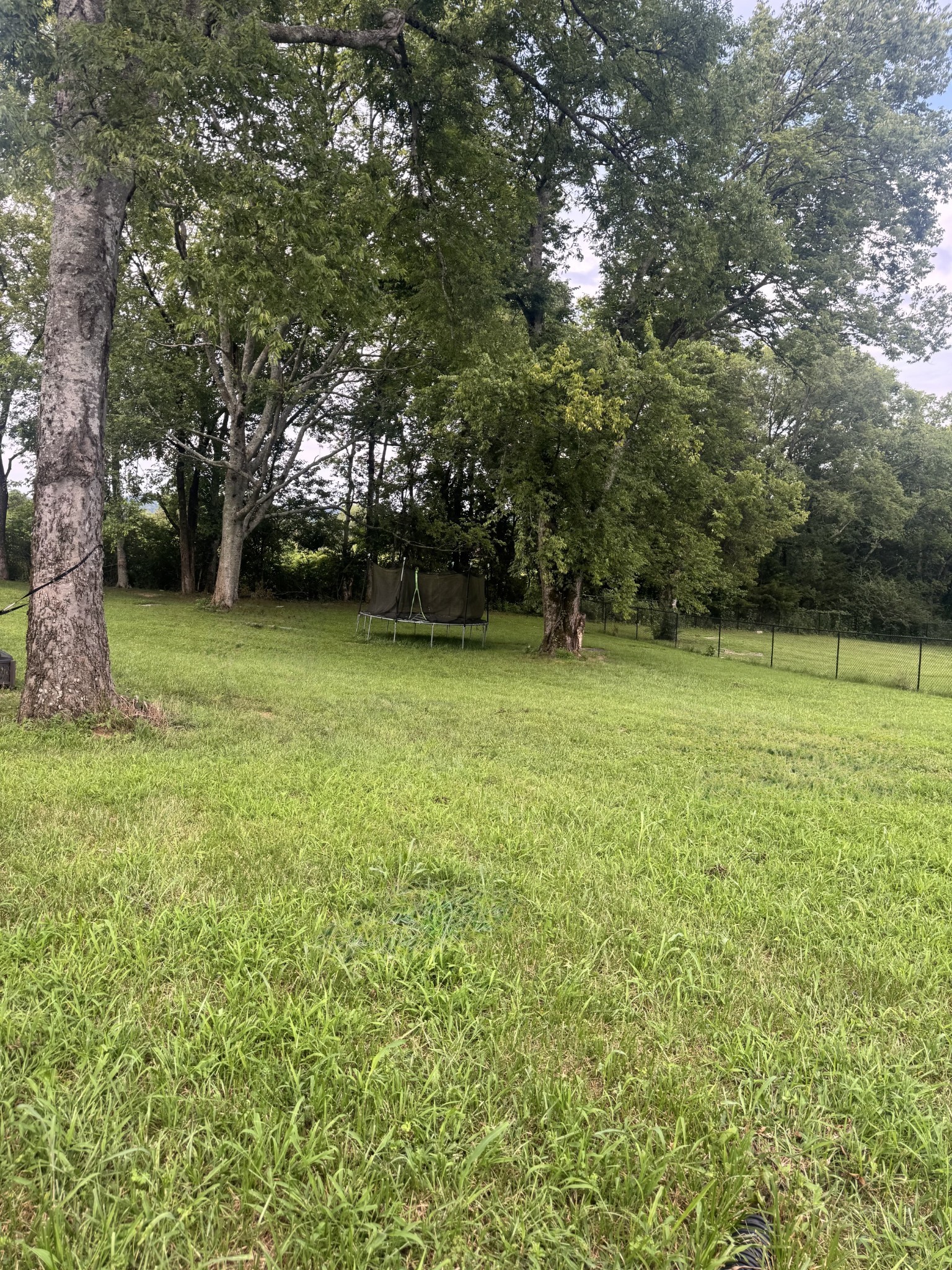 180 Mockingbird Ln Property Photo 16