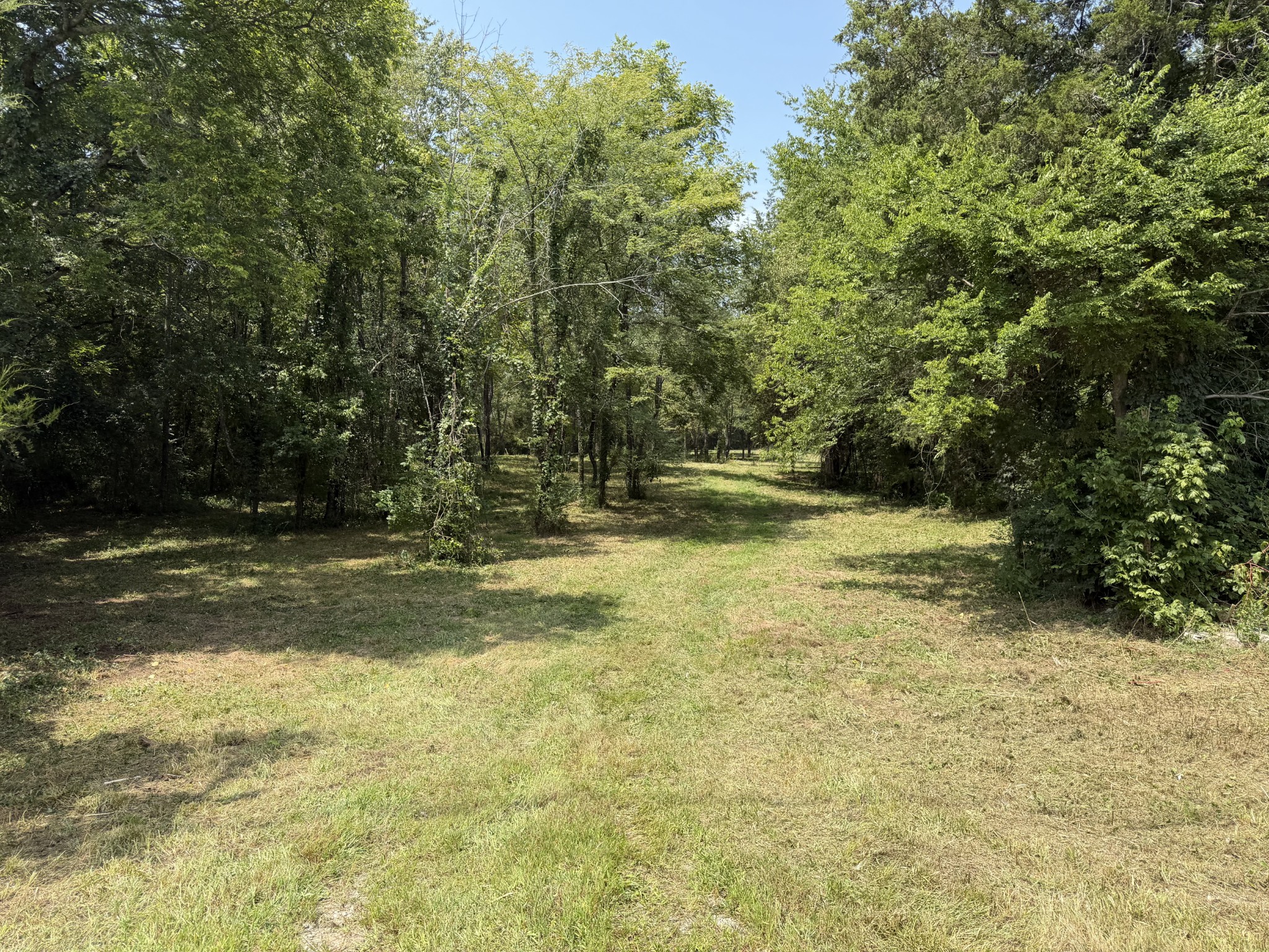 2821 Double Branch Rd Property Photo 1