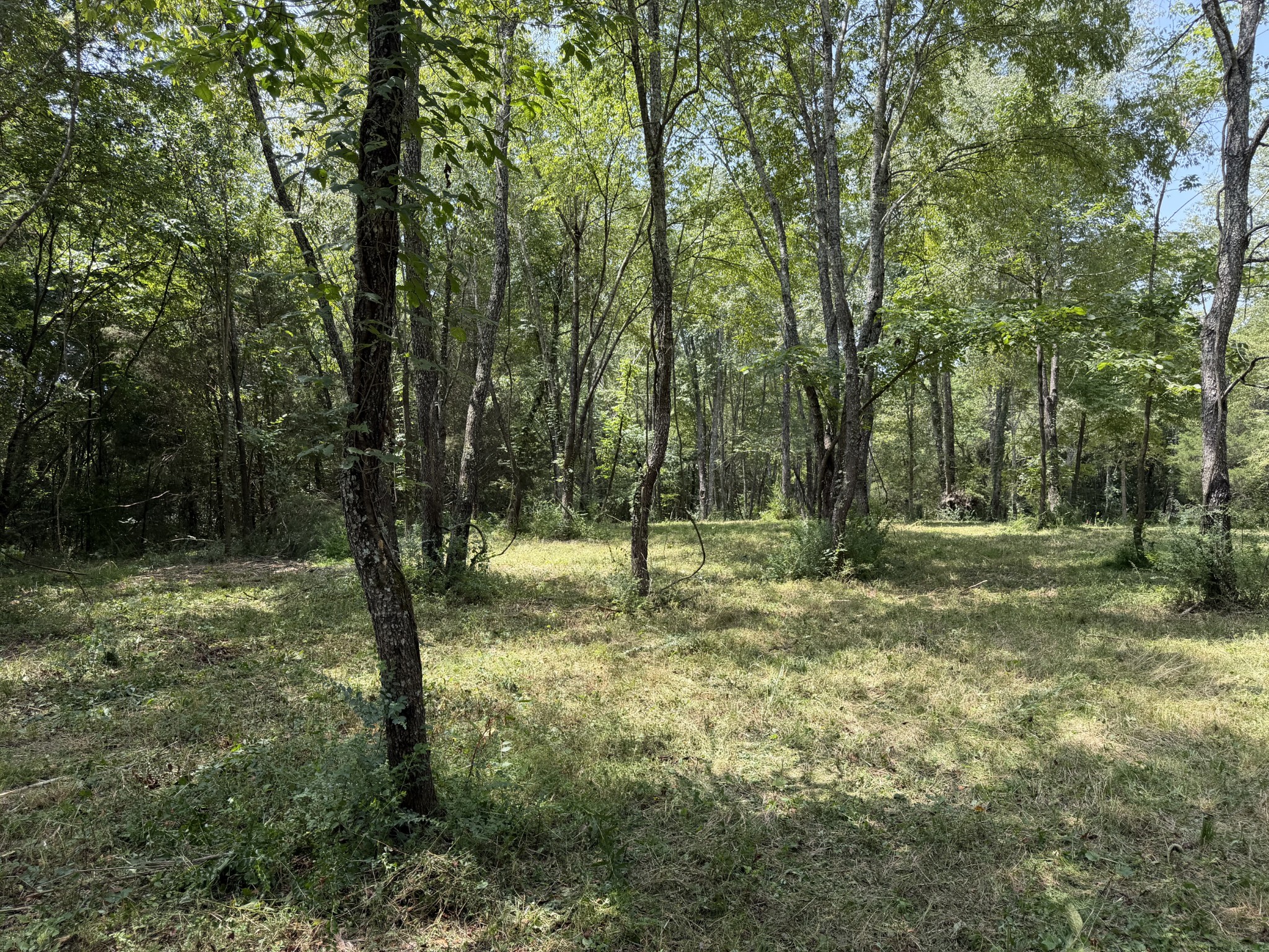 2821 Double Branch Rd Property Photo 3