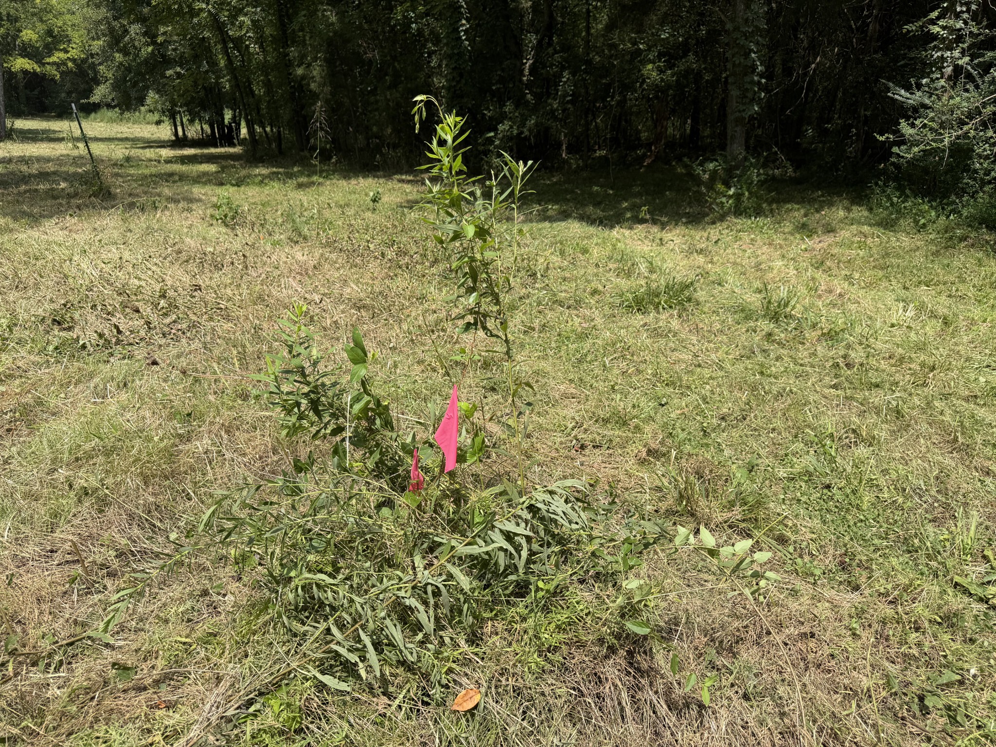2821 Double Branch Rd Property Photo 4
