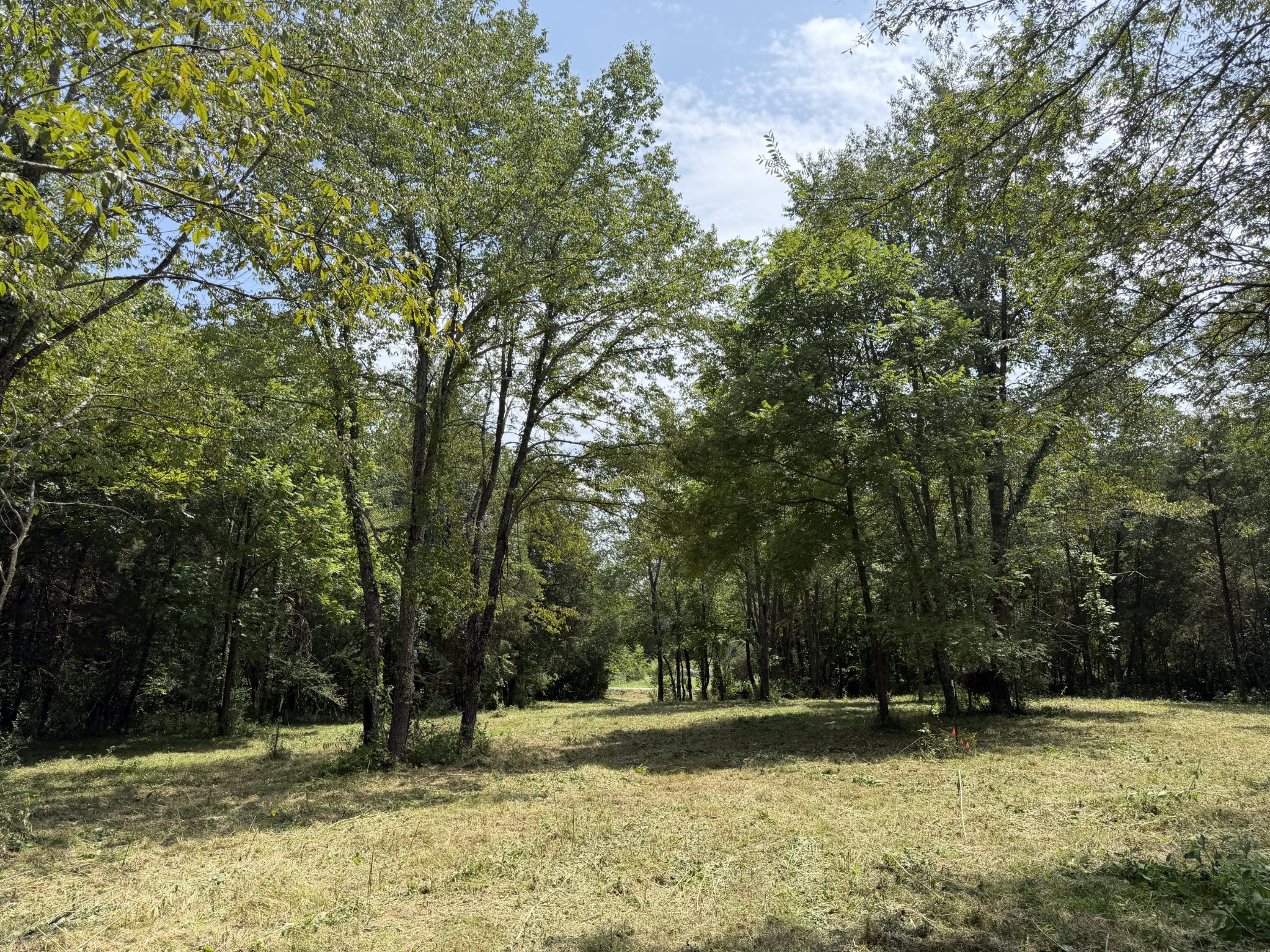 2821 Double Branch Rd Property Photo 5