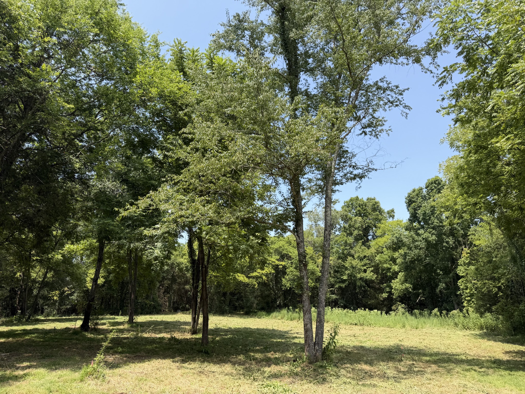 2821 Double Branch Rd Property Photo 6