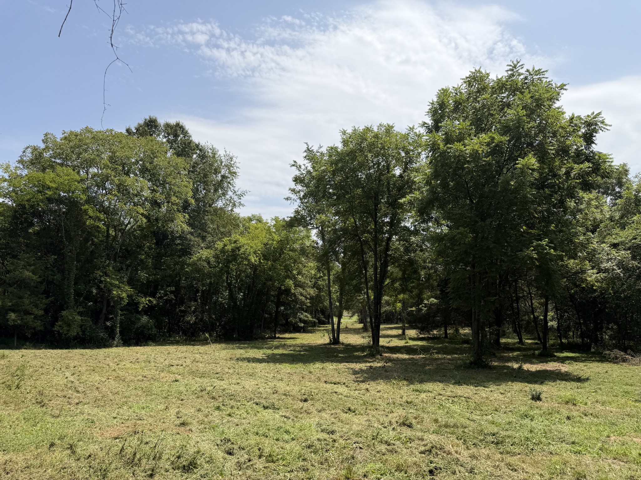 2821 Double Branch Rd Property Photo 7