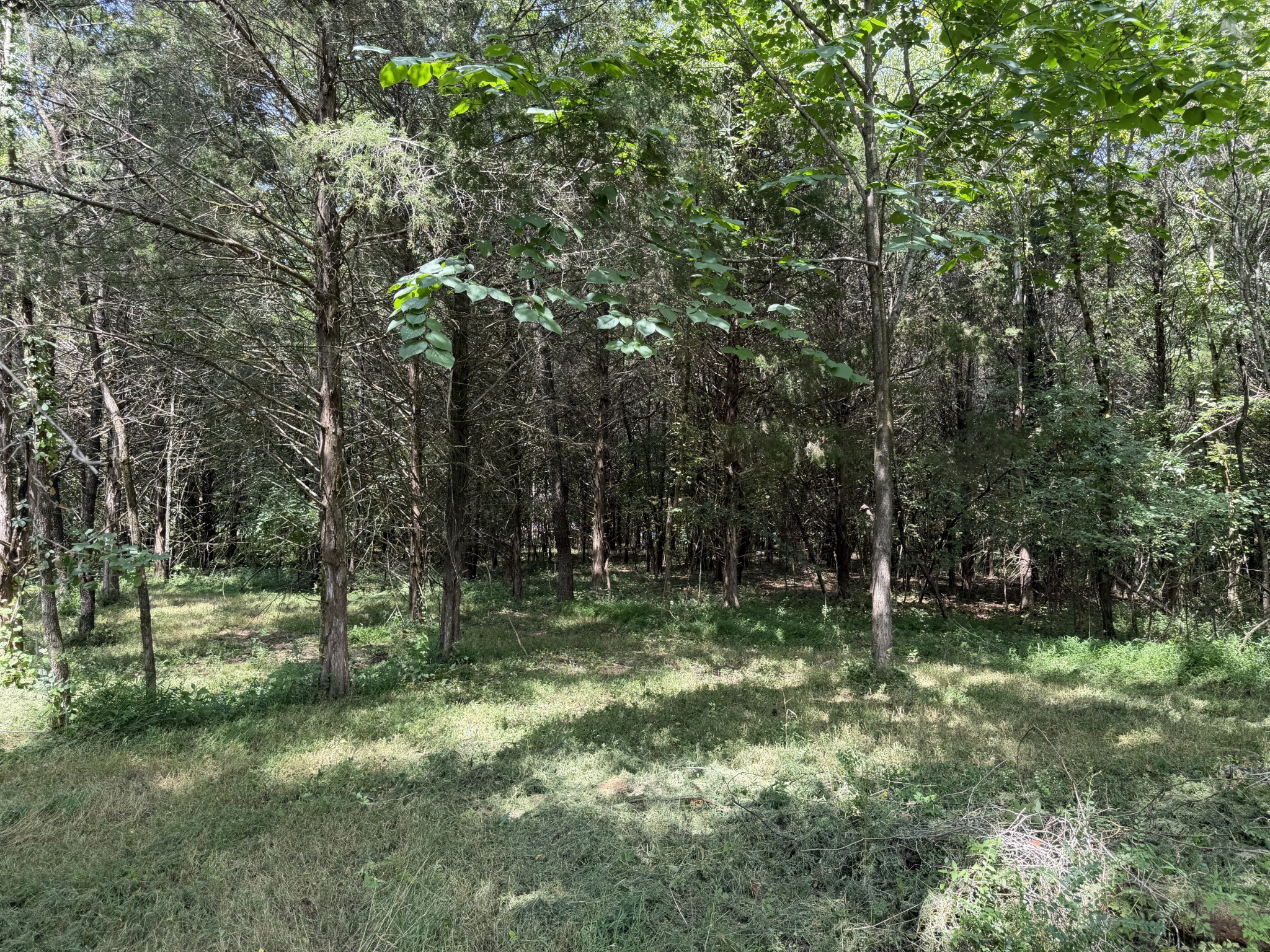 2821 Double Branch Rd Property Photo 8