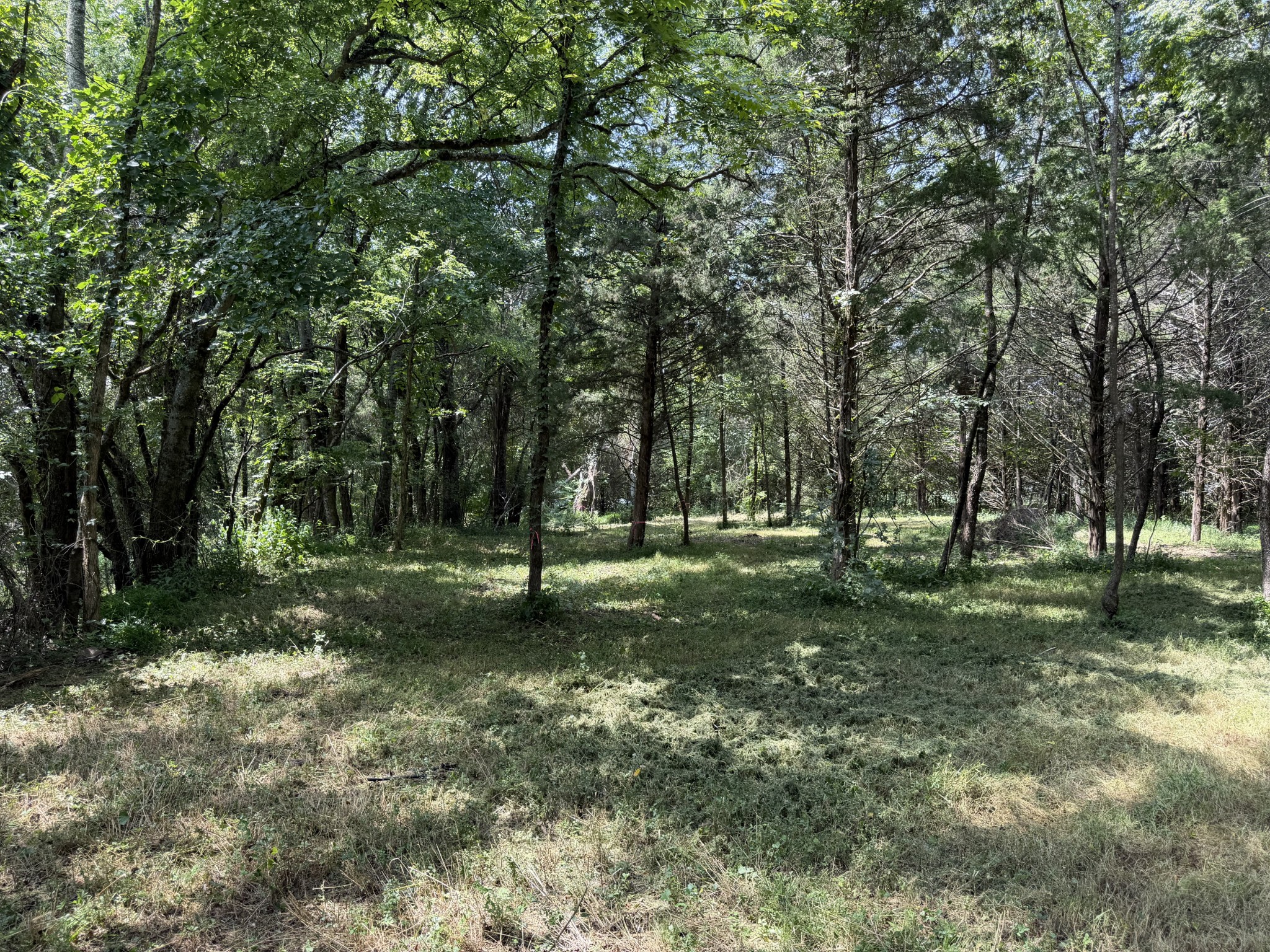2821 Double Branch Rd Property Photo 9