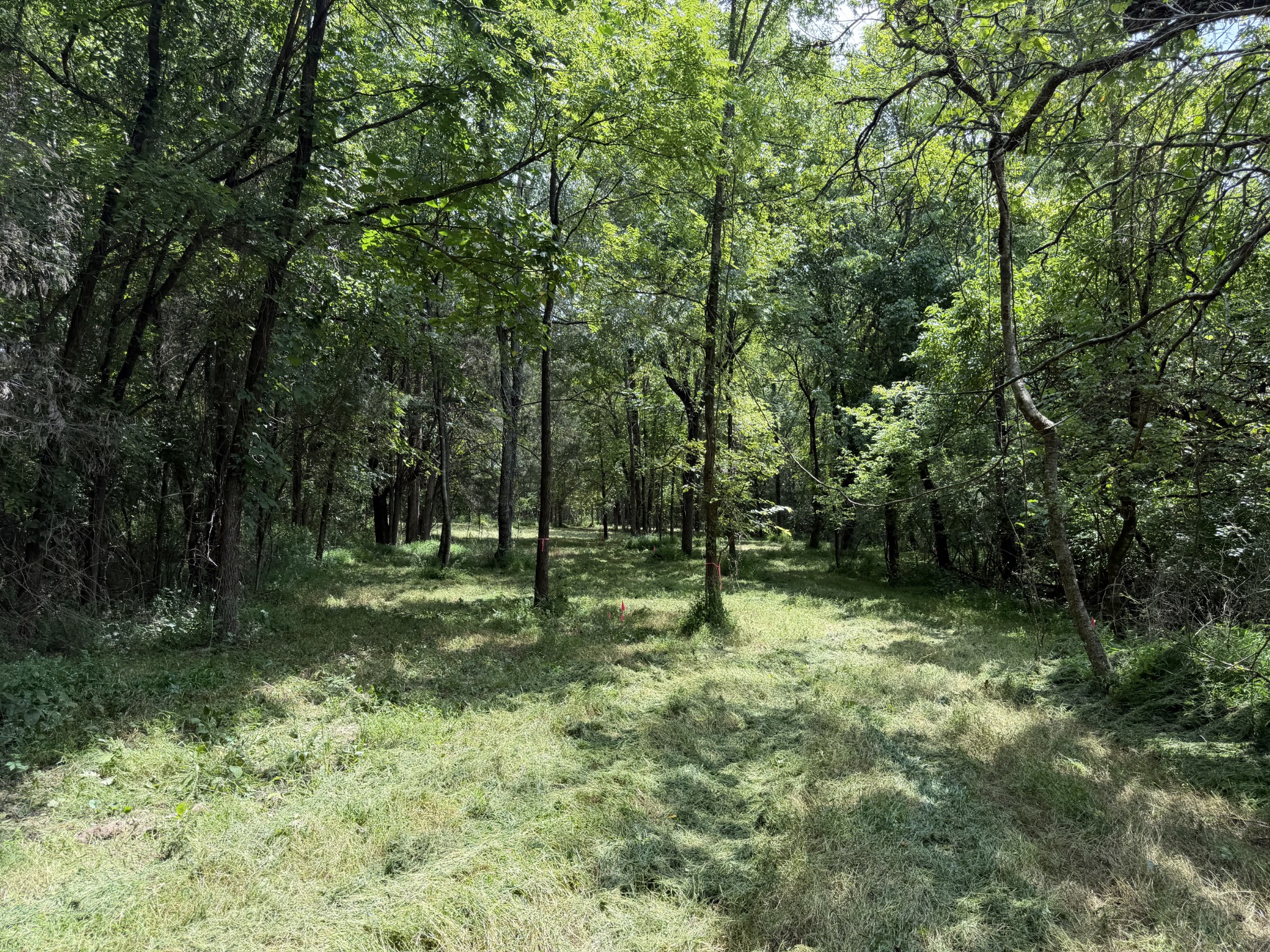 2821 Double Branch Rd Property Photo 11