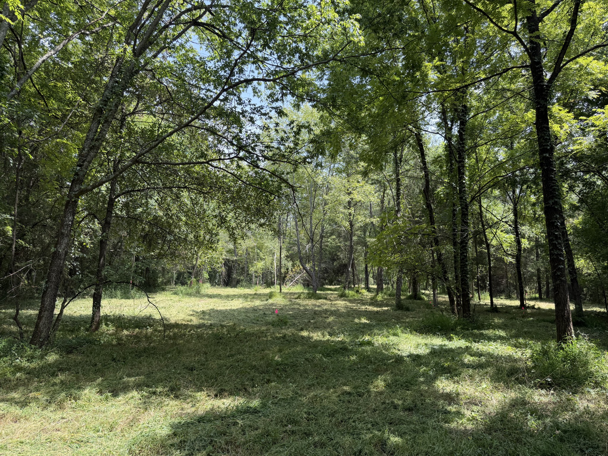 2821 Double Branch Rd Property Photo 13
