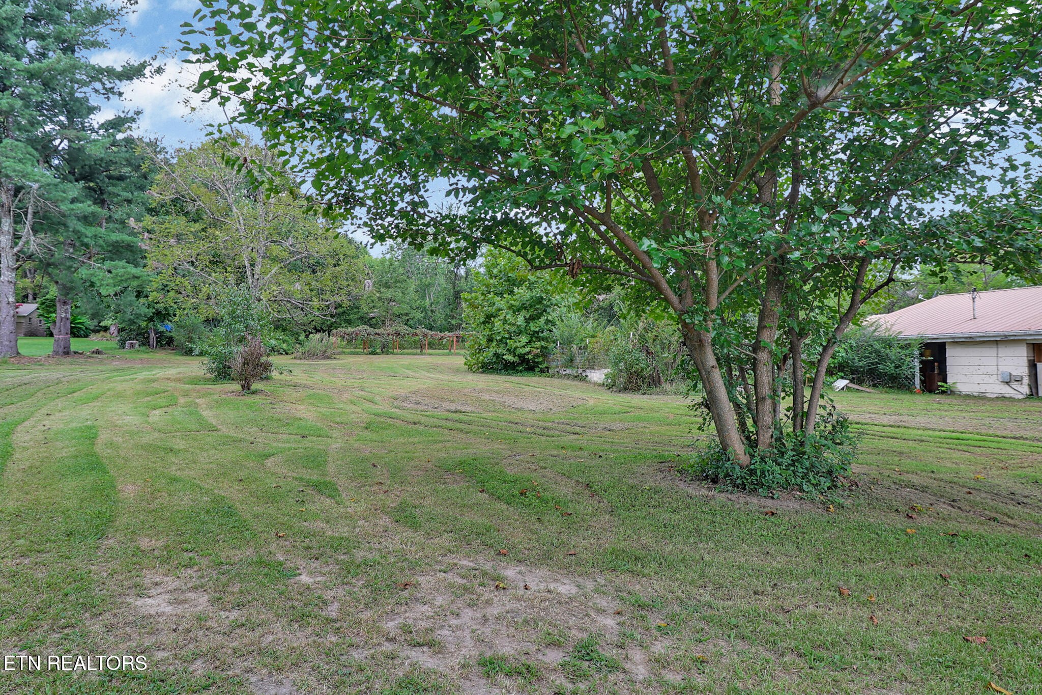 1030 Allardt Hwy Property Photo 29