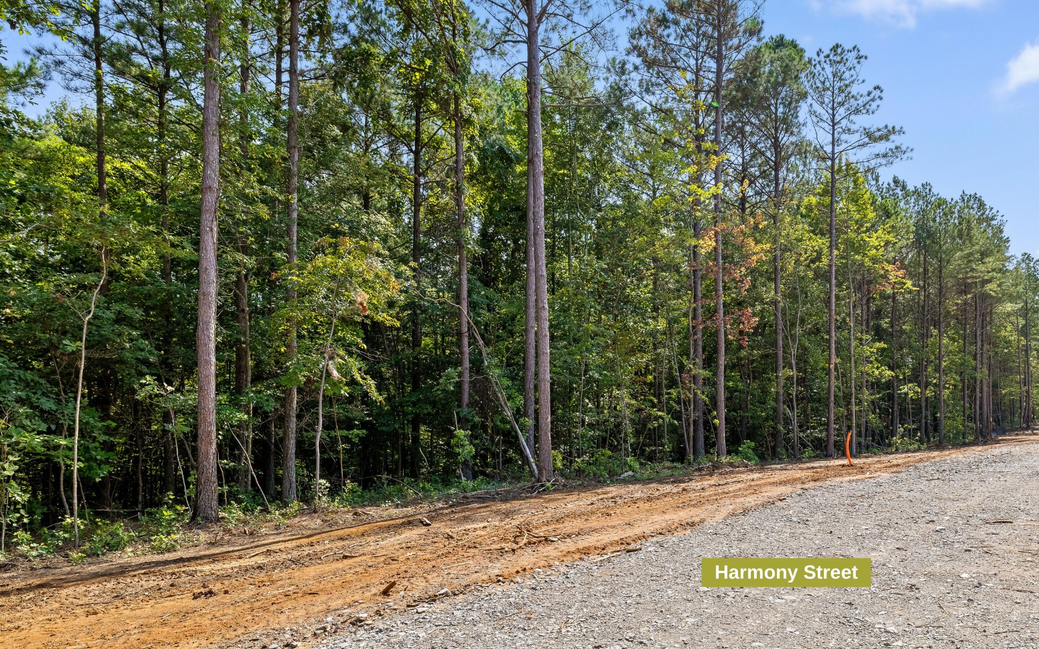 2017 Harmony Street Property Photo 4