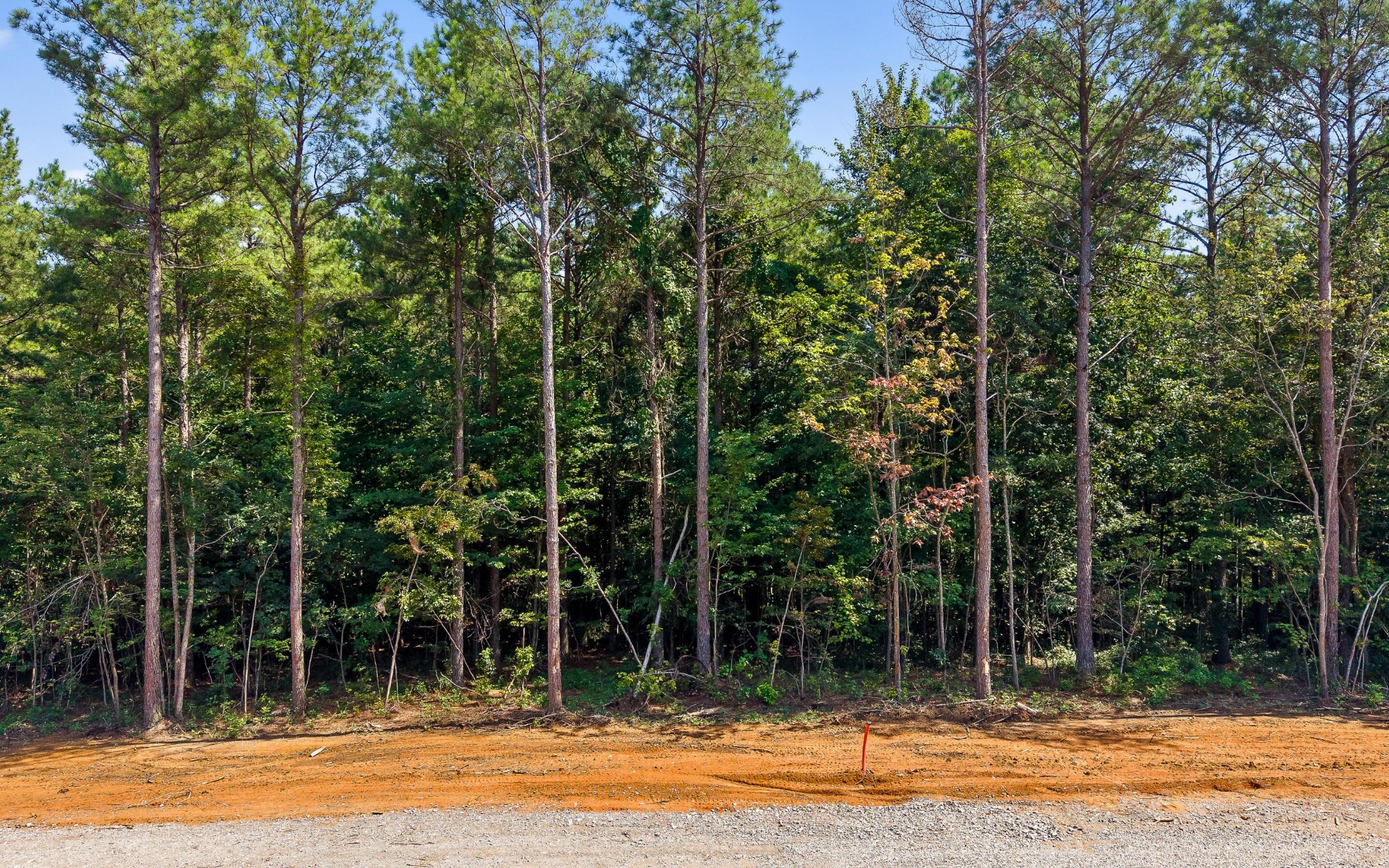 2017 Harmony Street Property Photo 6