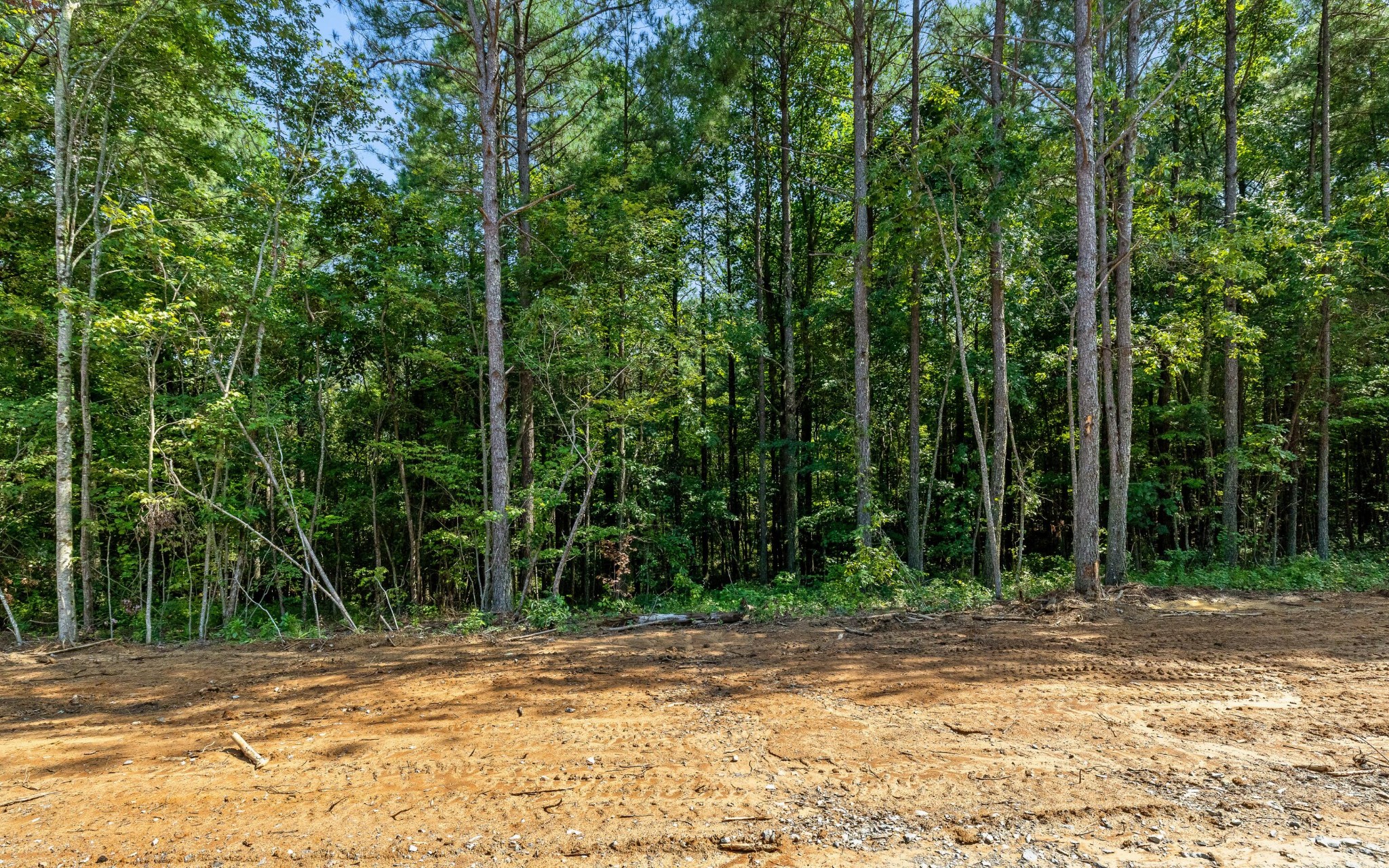 2017 Harmony Street Property Photo 7