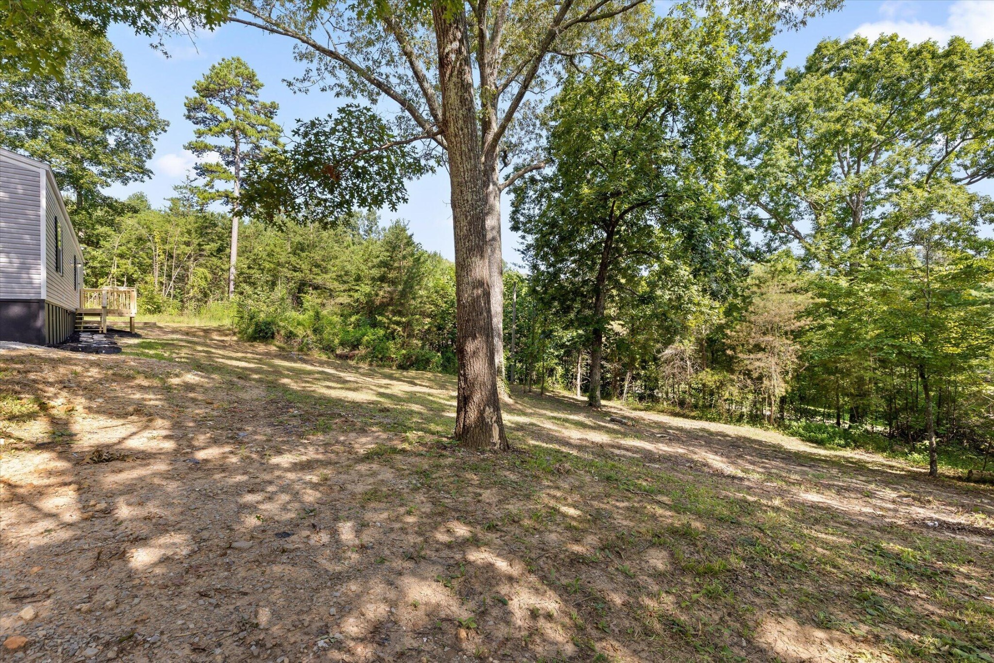 319 Scratch Ankle Road Property Photo 7