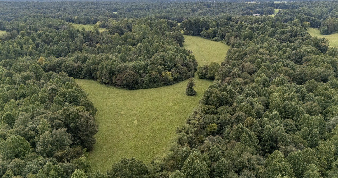 0 Weakley Creek Road Property Photo 1