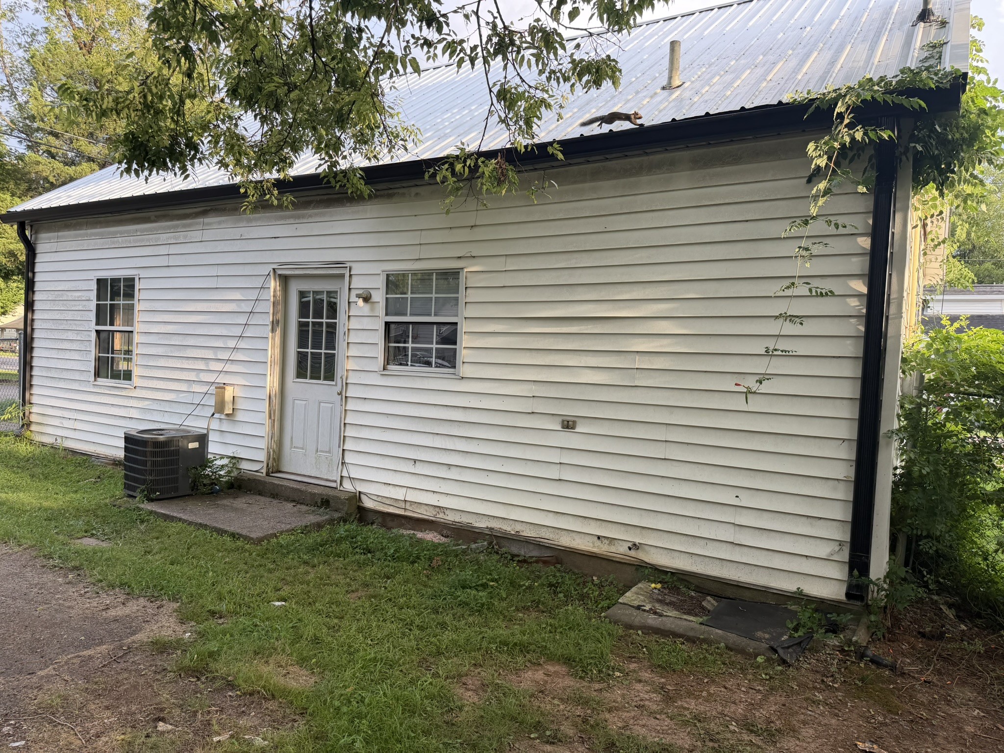 429 Forrest St Property Photo 4