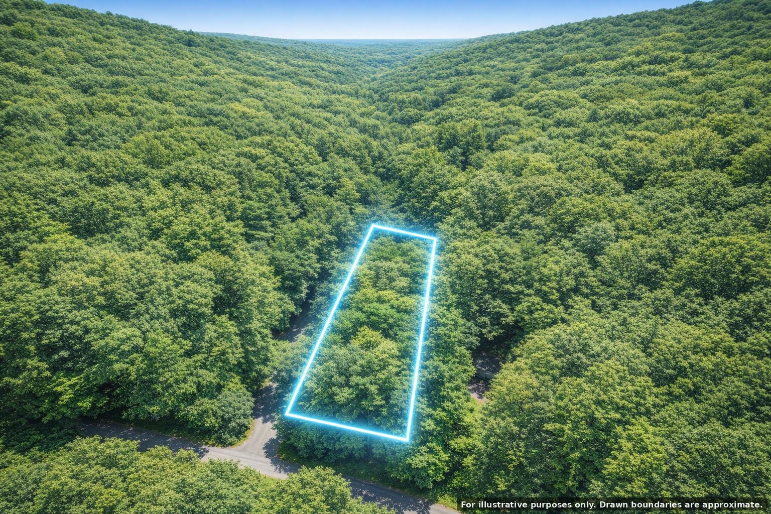 0 Bear Road Property Photo 5