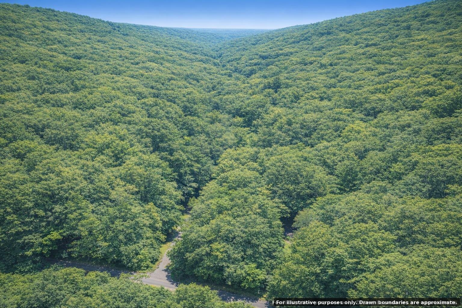 0 Bear Road Property Photo 6