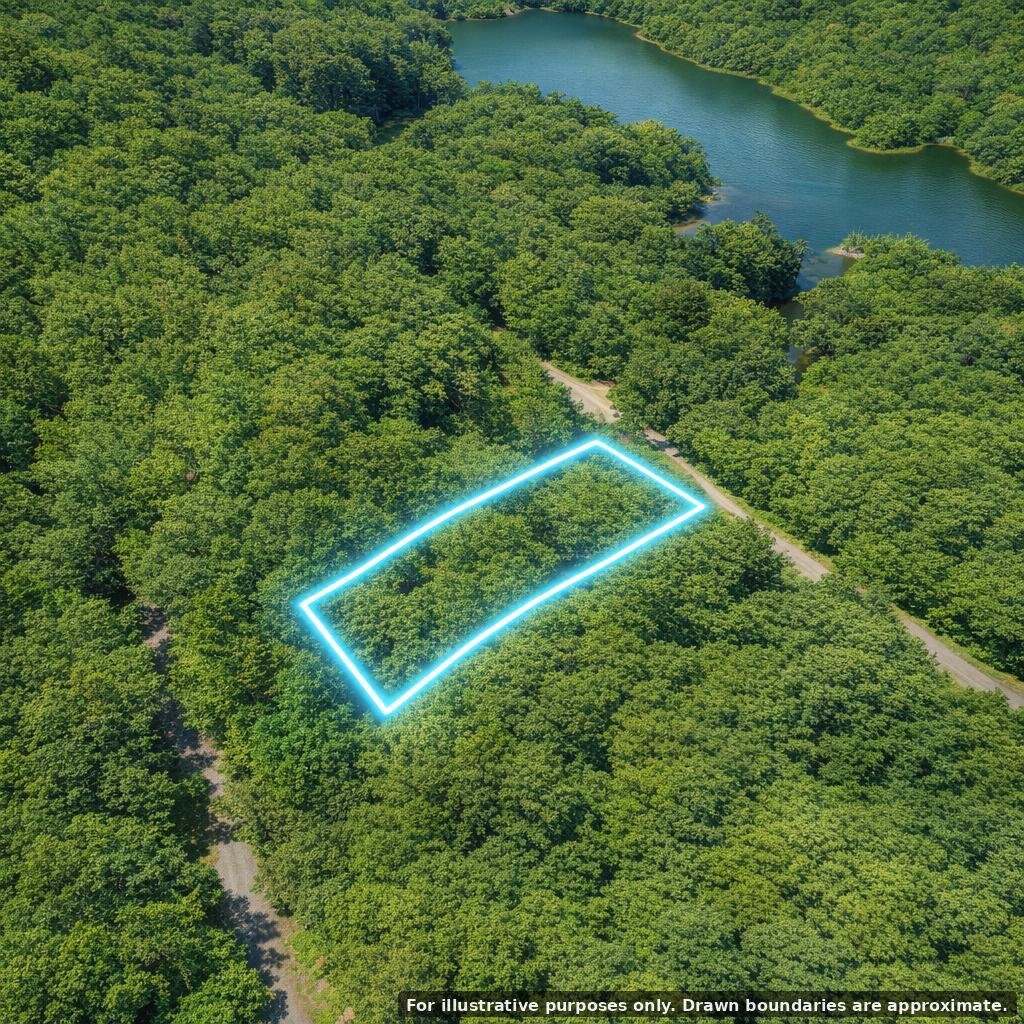 0 Bear Road Property Photo 9