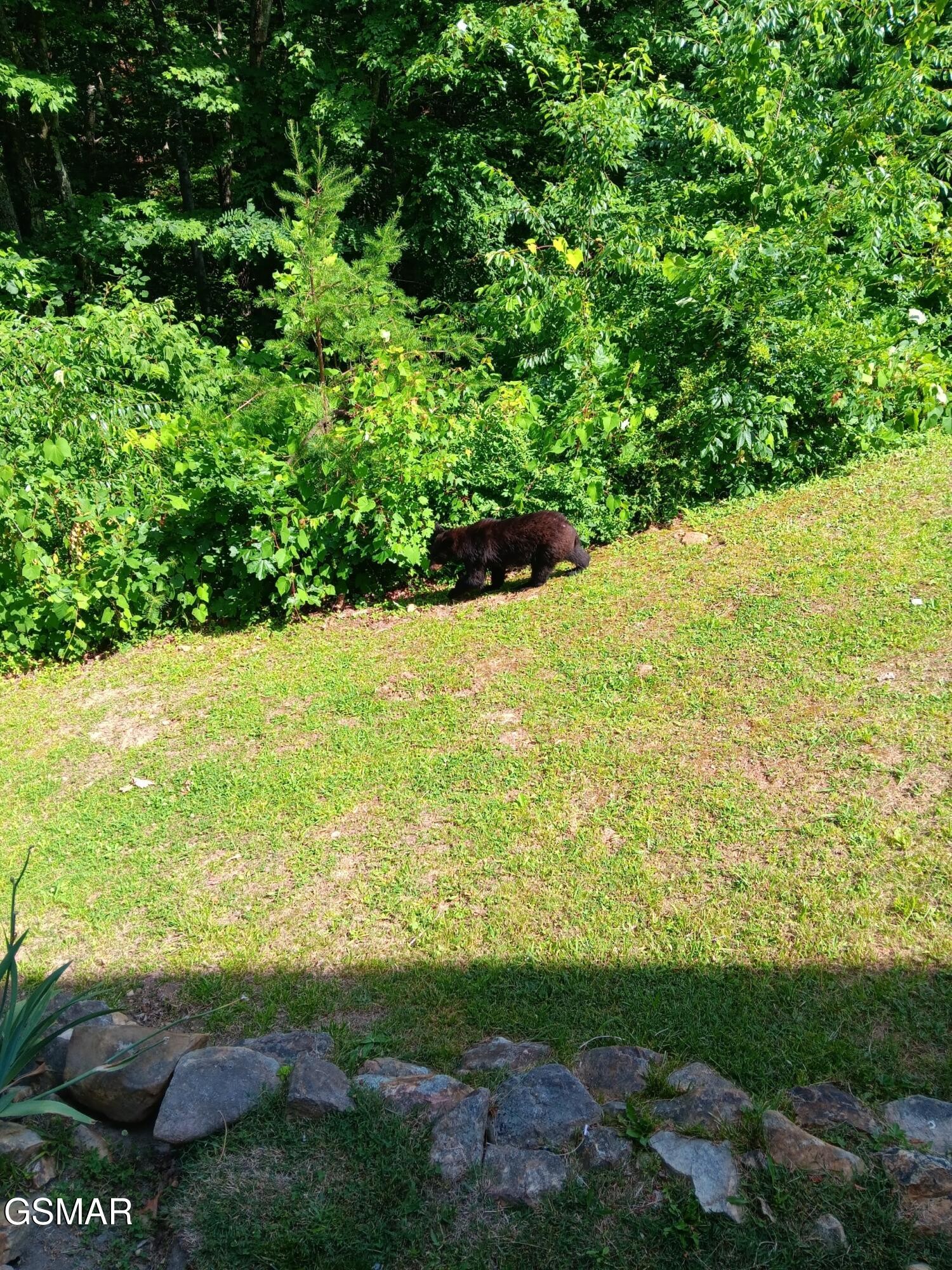 1081 Cove Road Property Photo 20