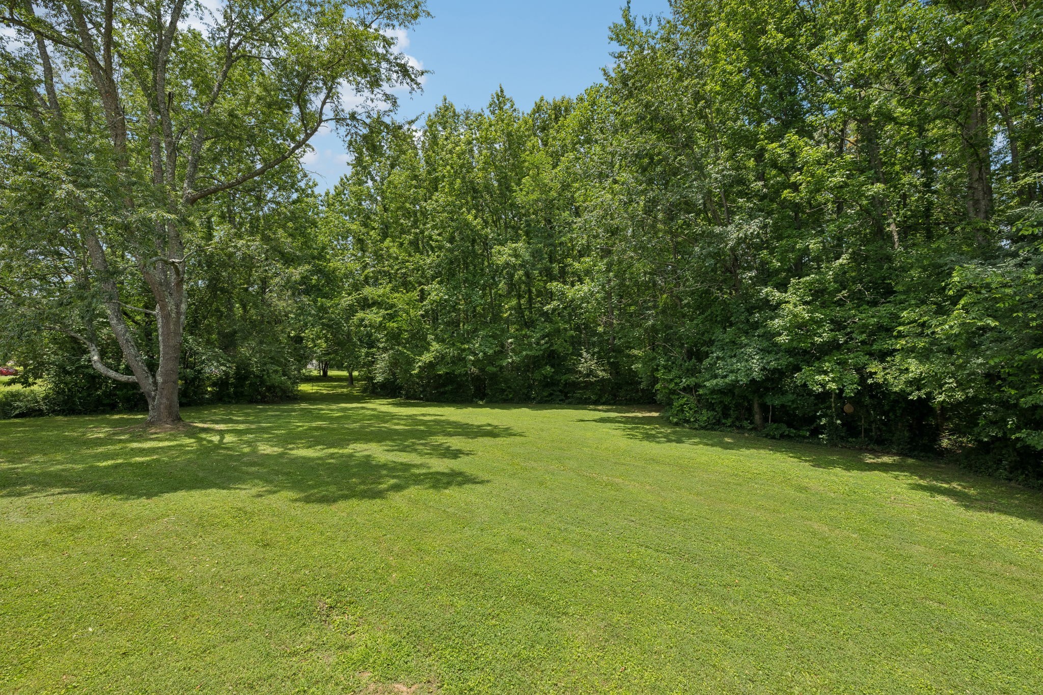 113 Creasy Ct Property Photo 24