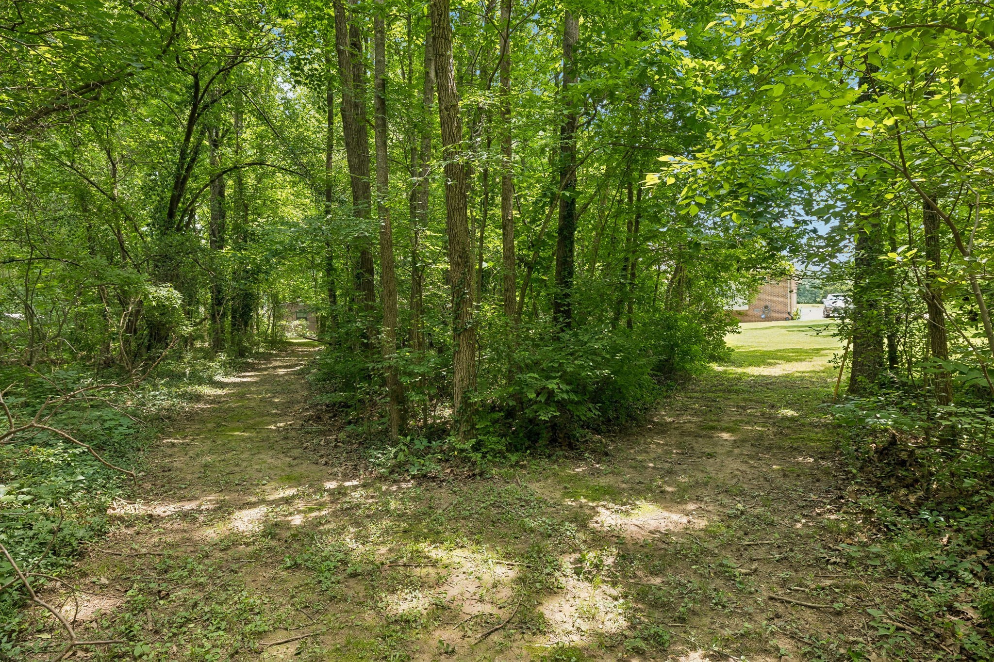 113 Creasy Ct Property Photo 46